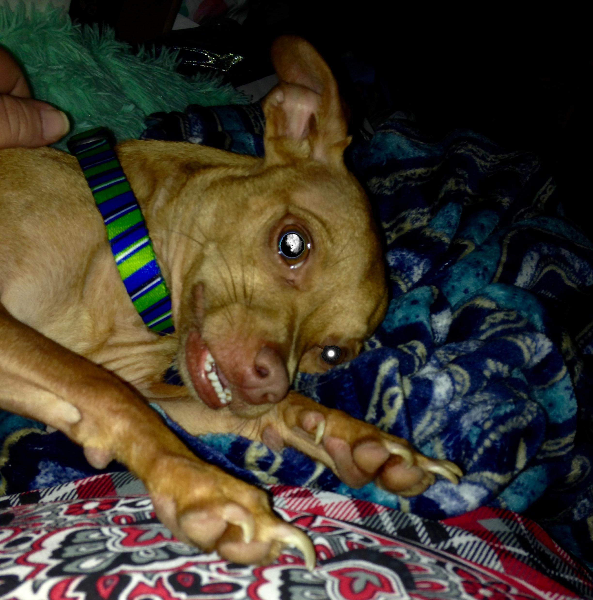 Question details sensitive content