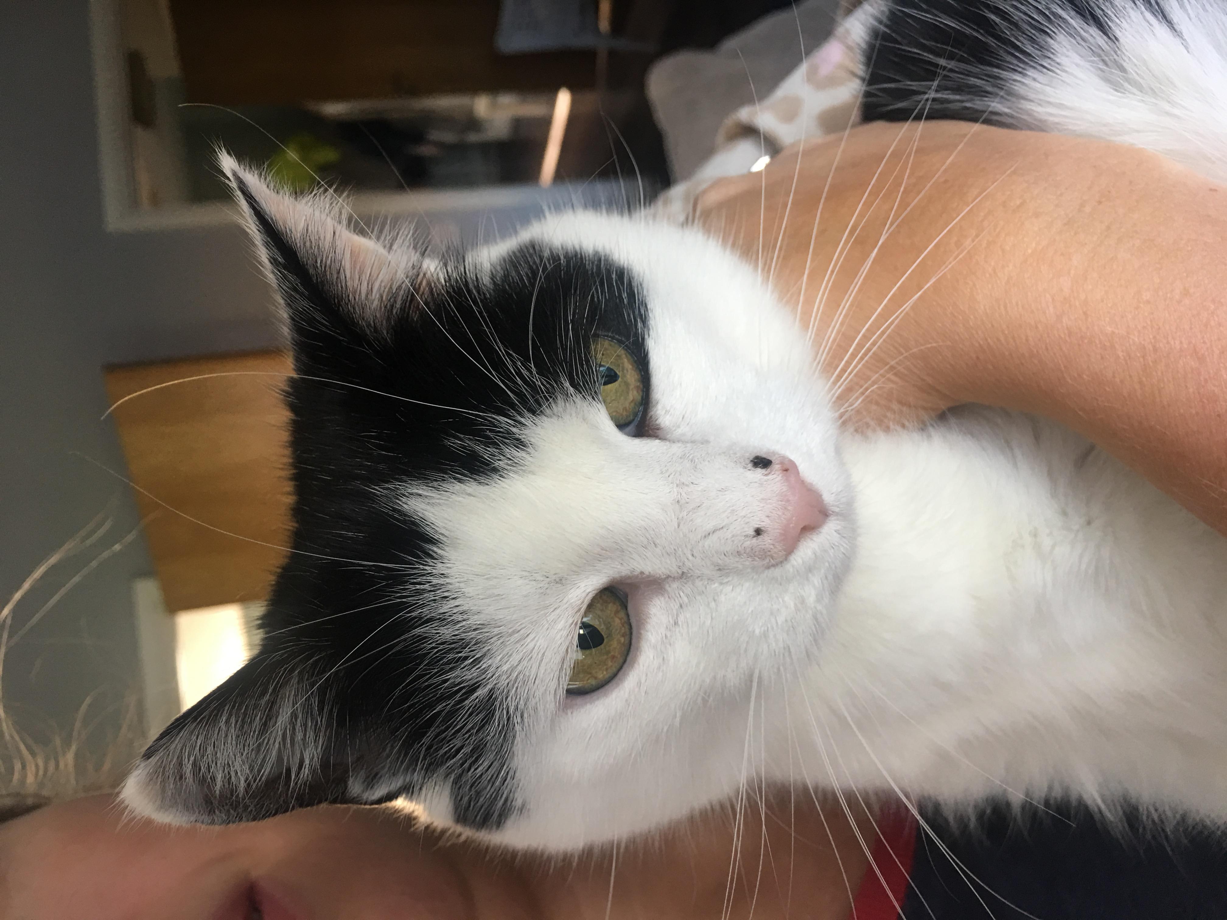 Question details sensitive content