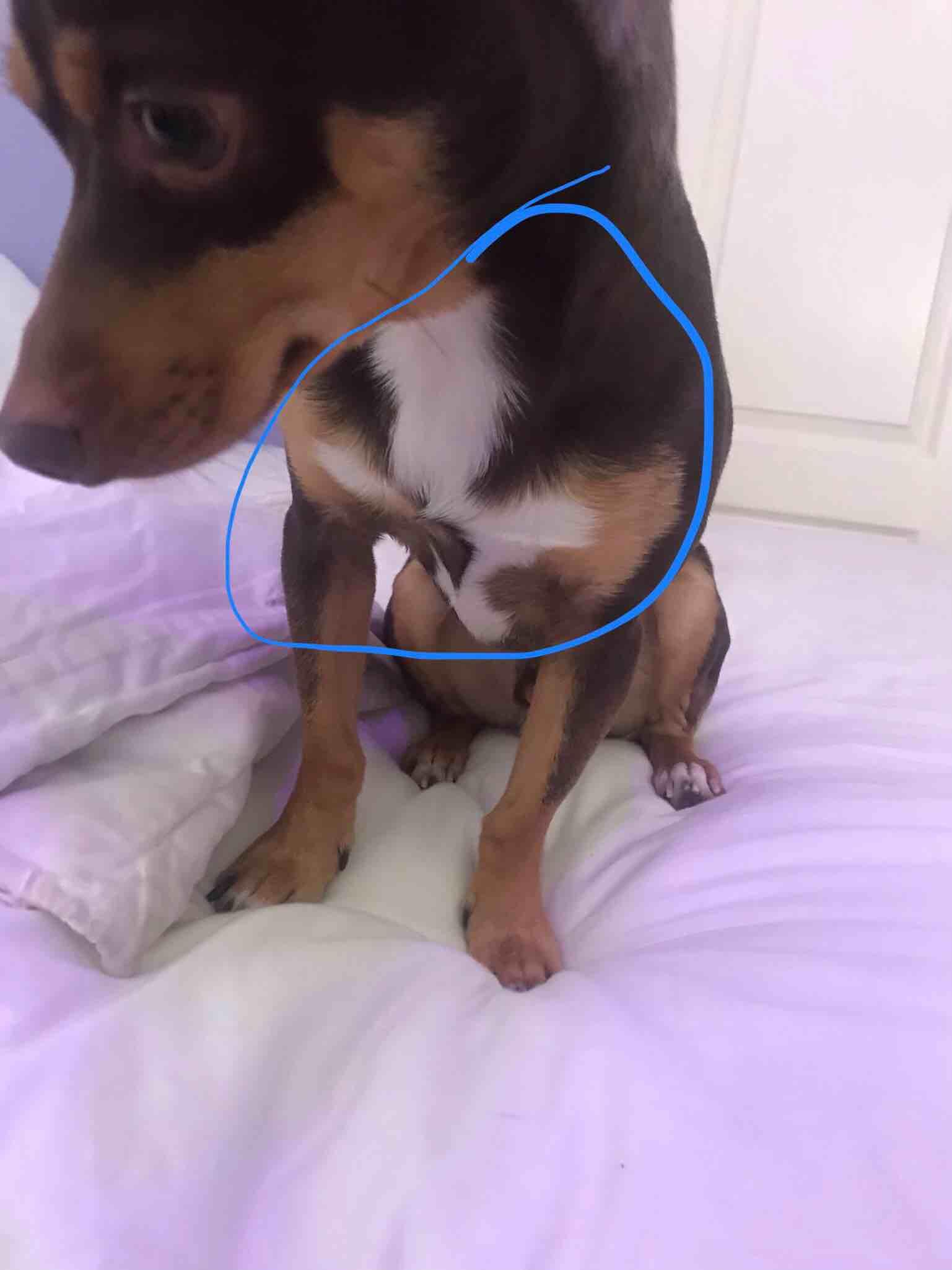 Question details sensitive content