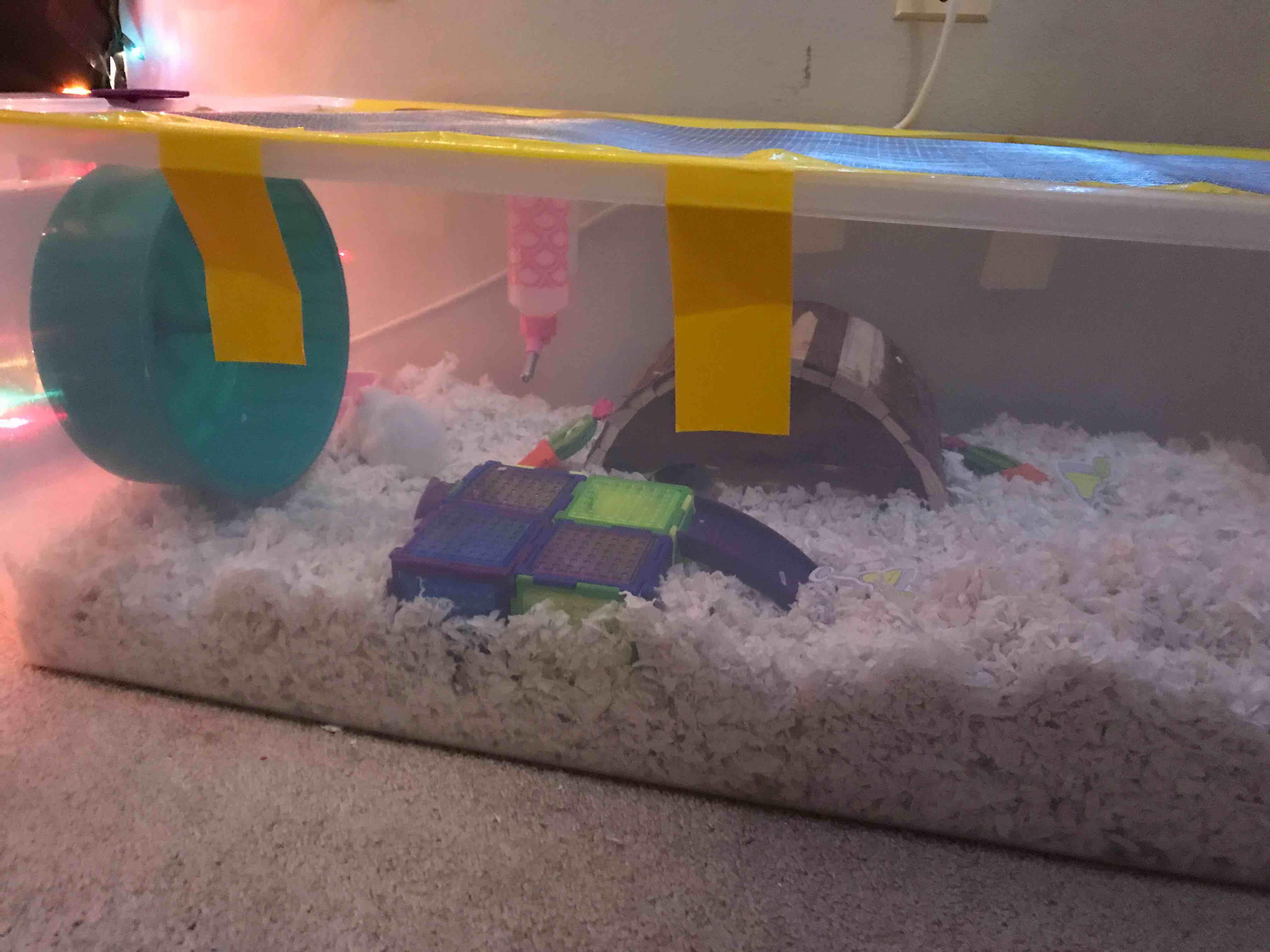 Question details sensitive content