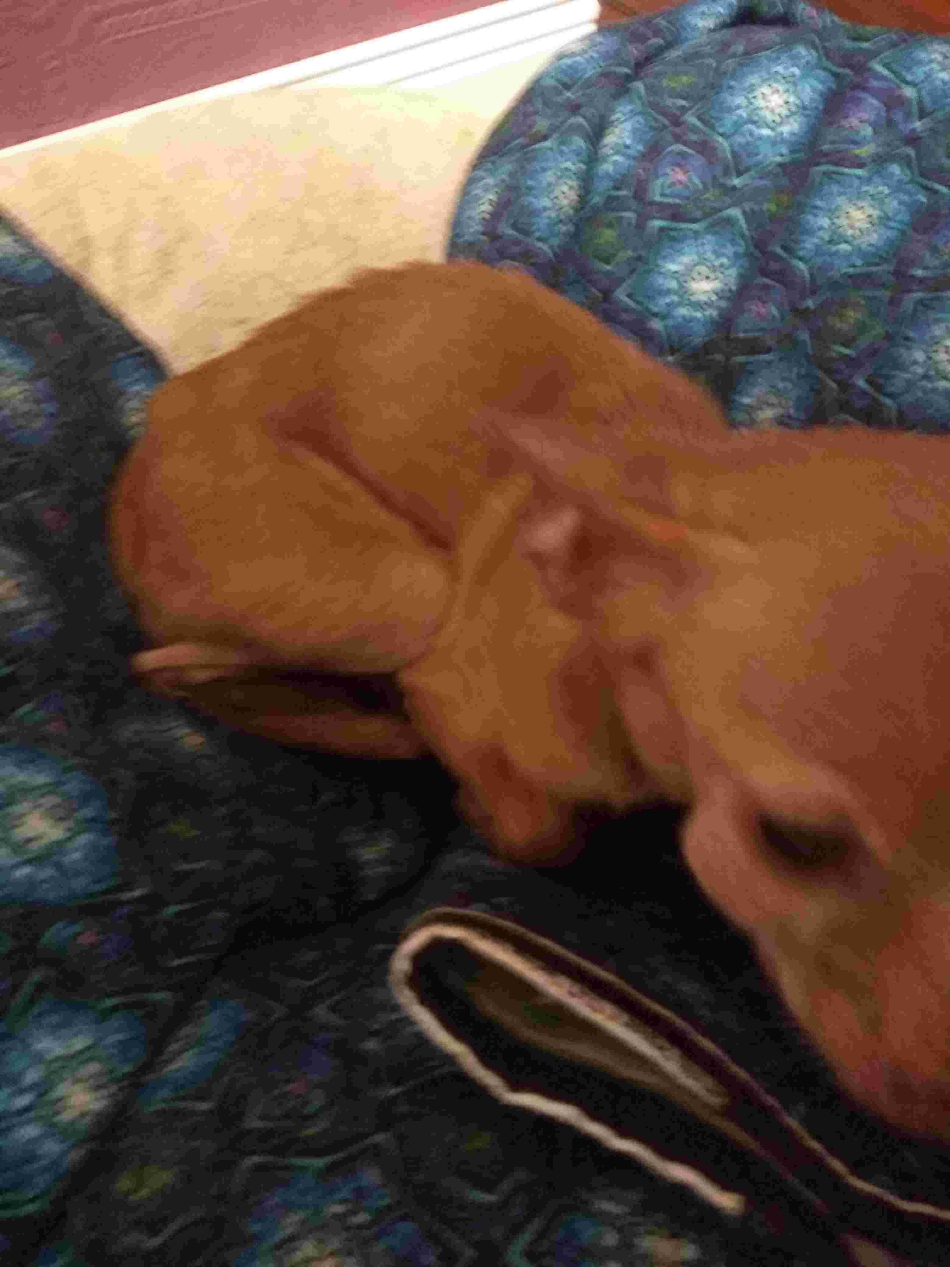 Question details sensitive content