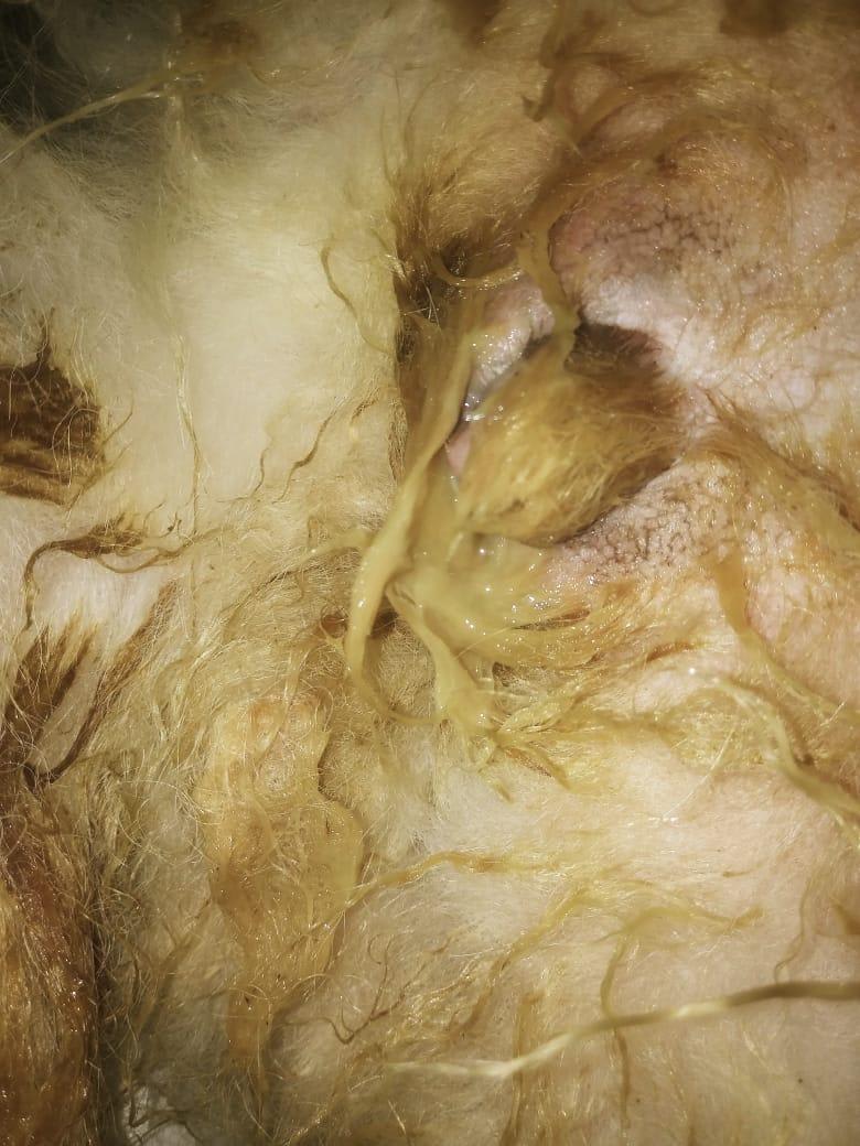 Question details sensitive content