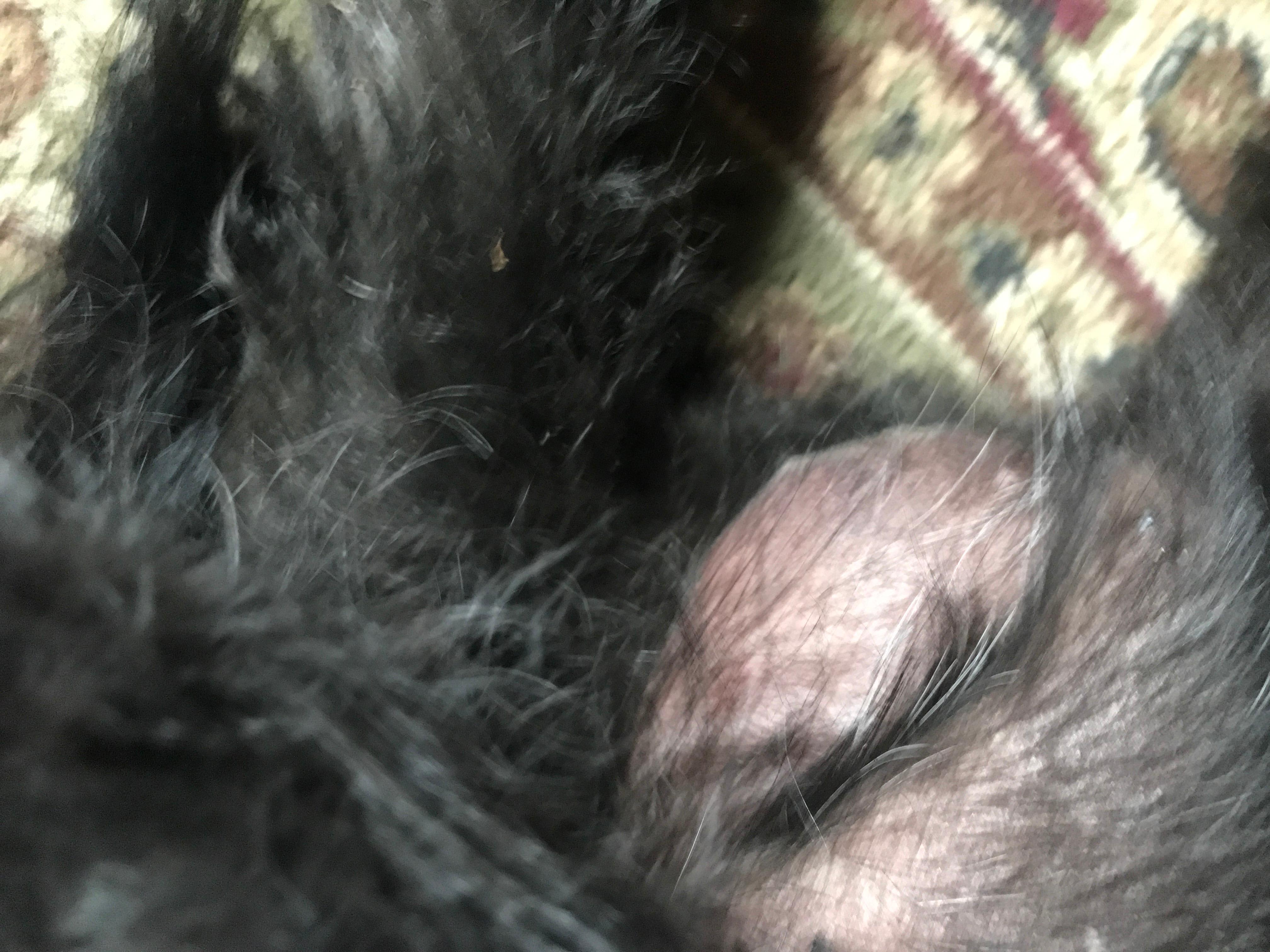 Question details sensitive content