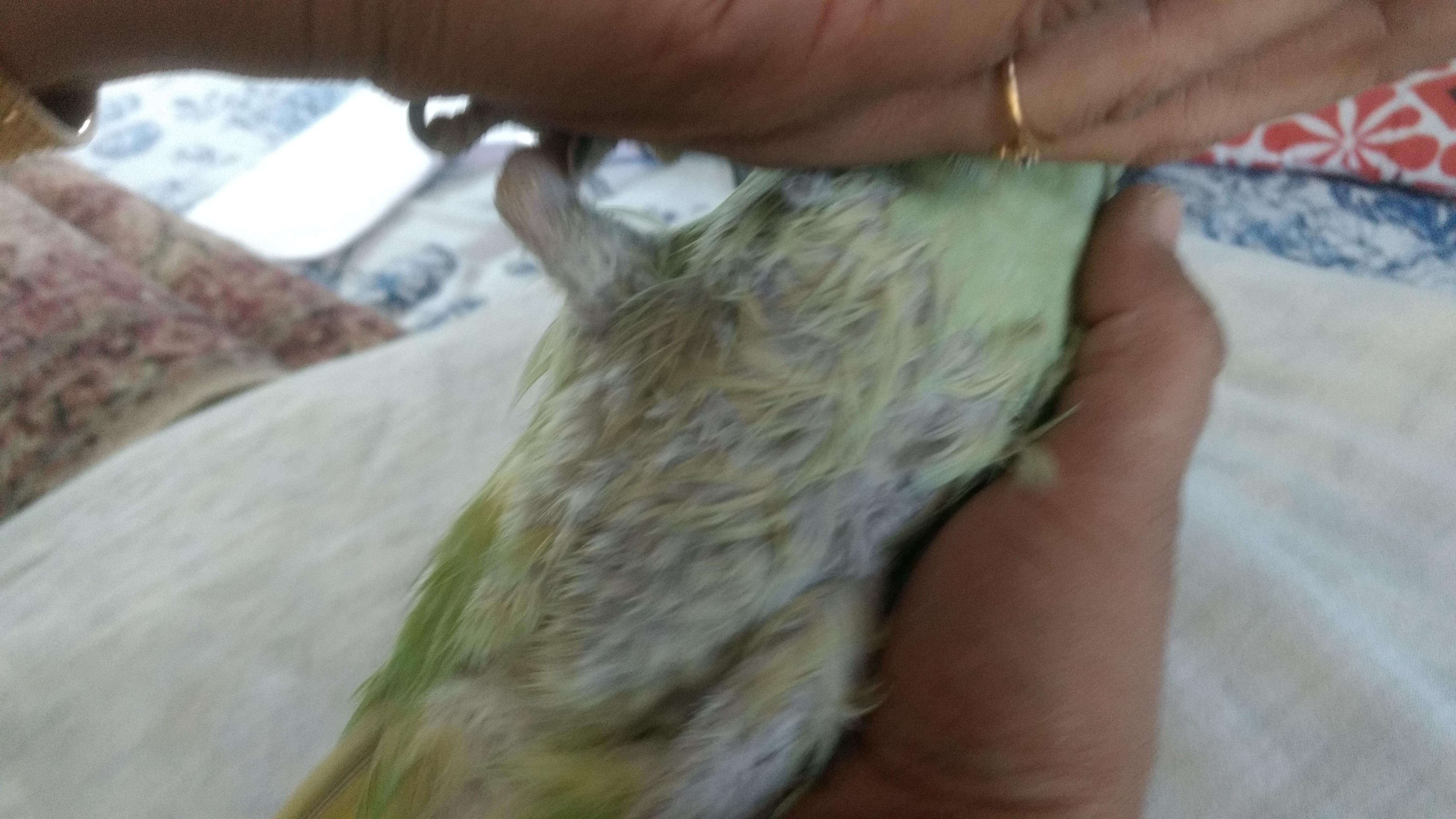 Question details sensitive content