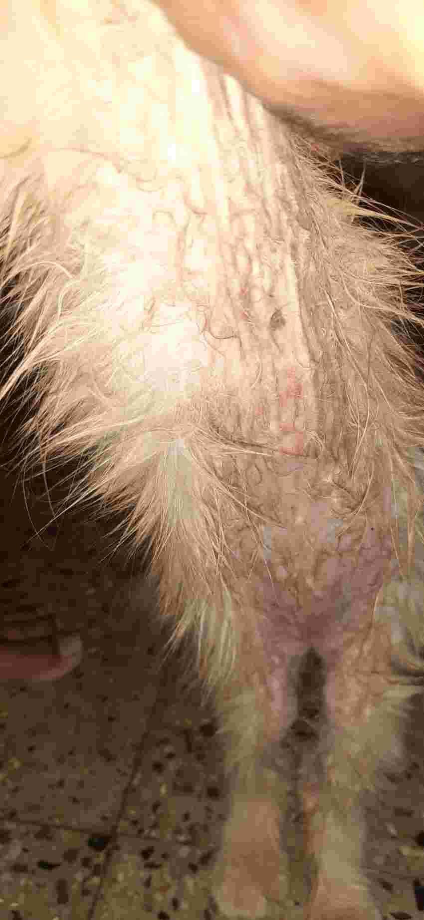 Question details sensitive content