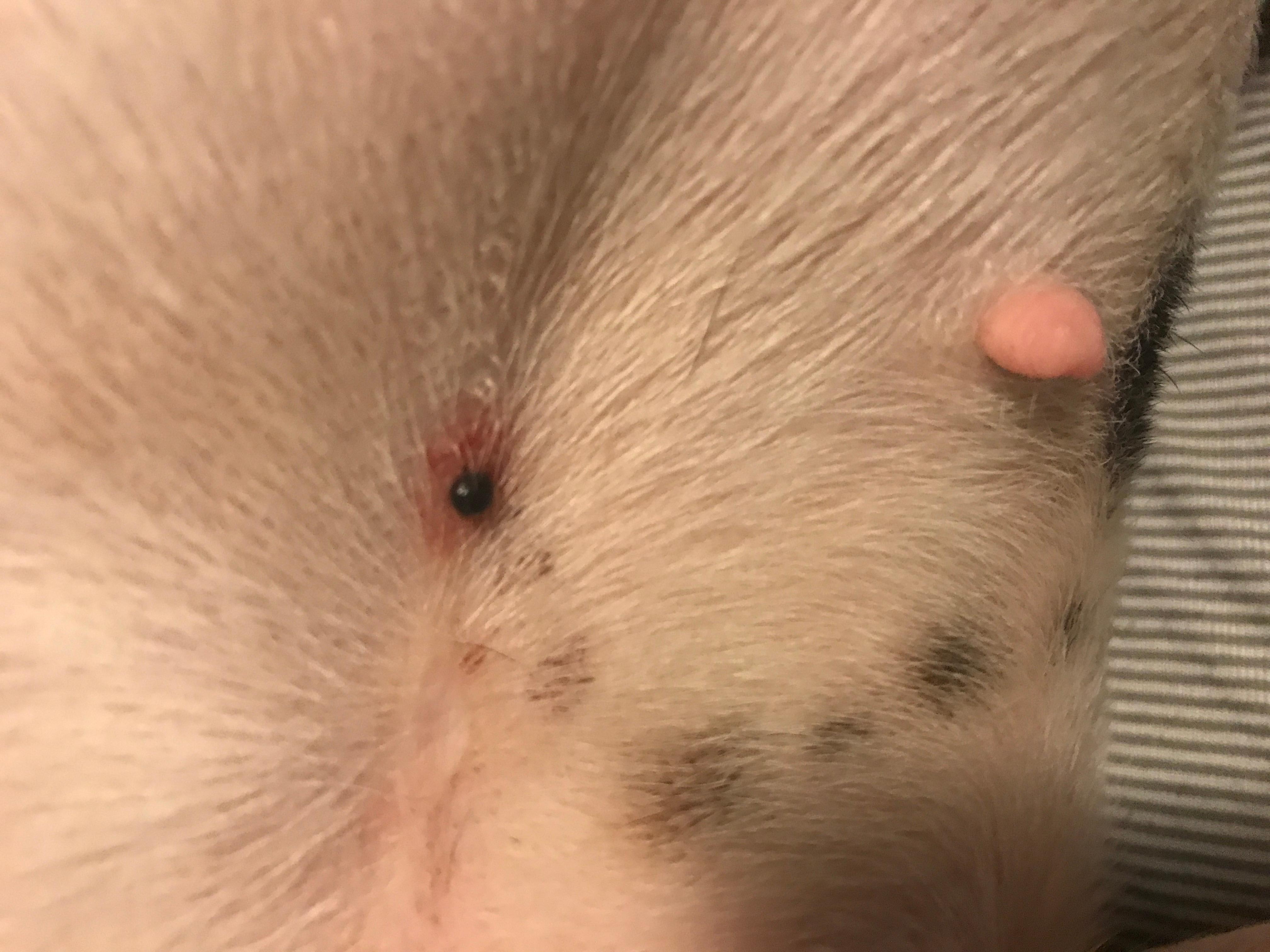 Question details sensitive content