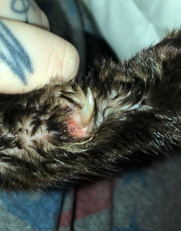 Question details sensitive content