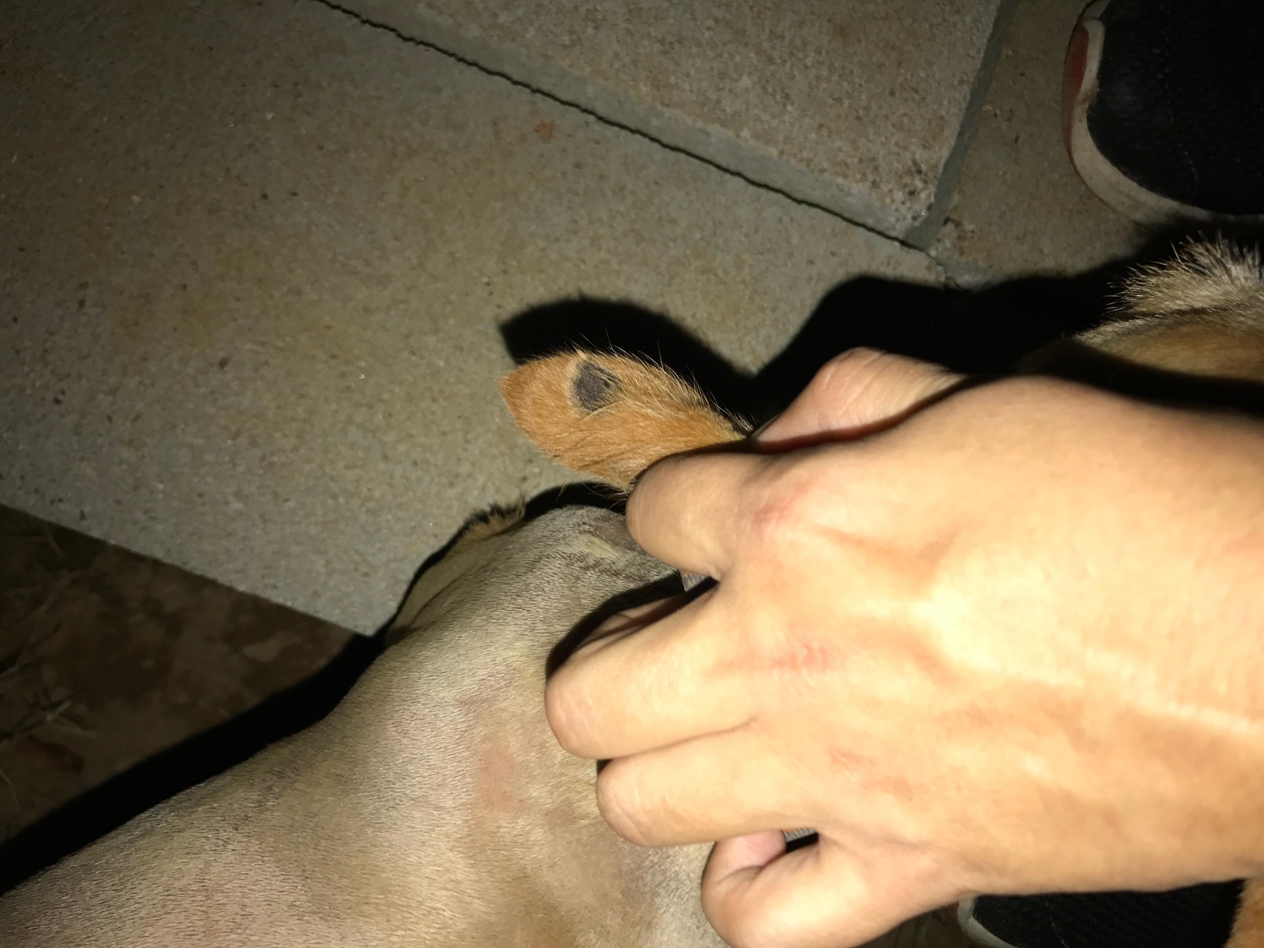 Question details sensitive content