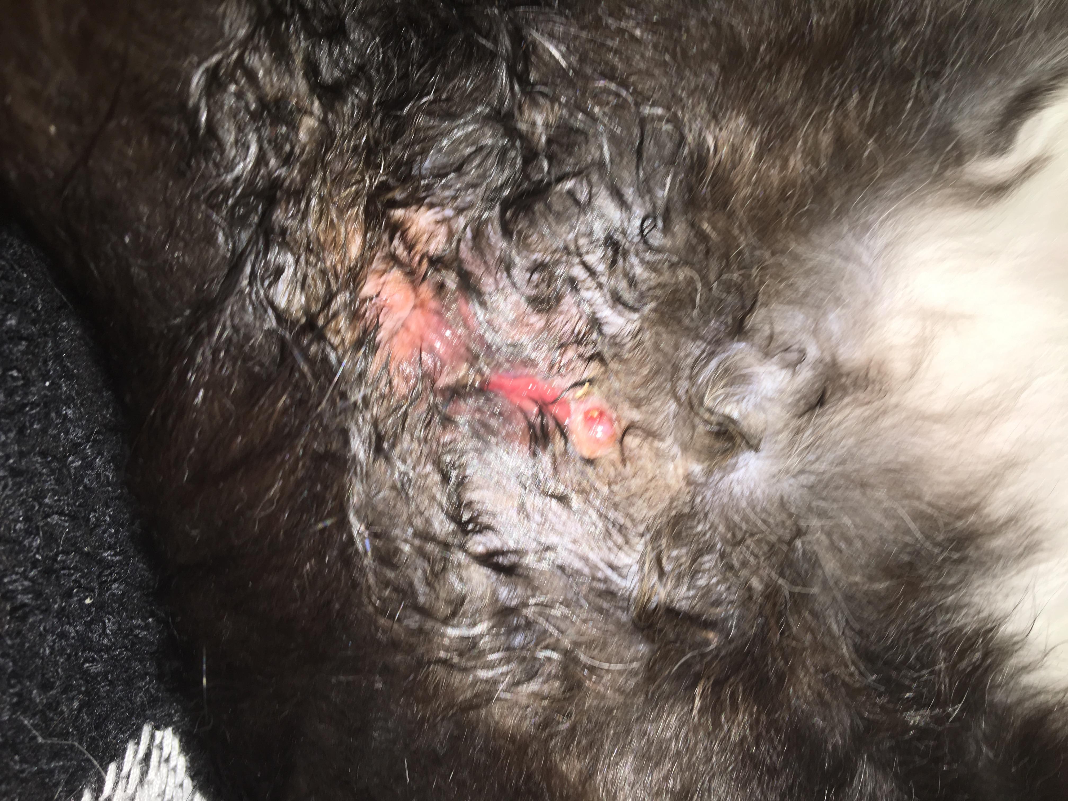 Question details sensitive content