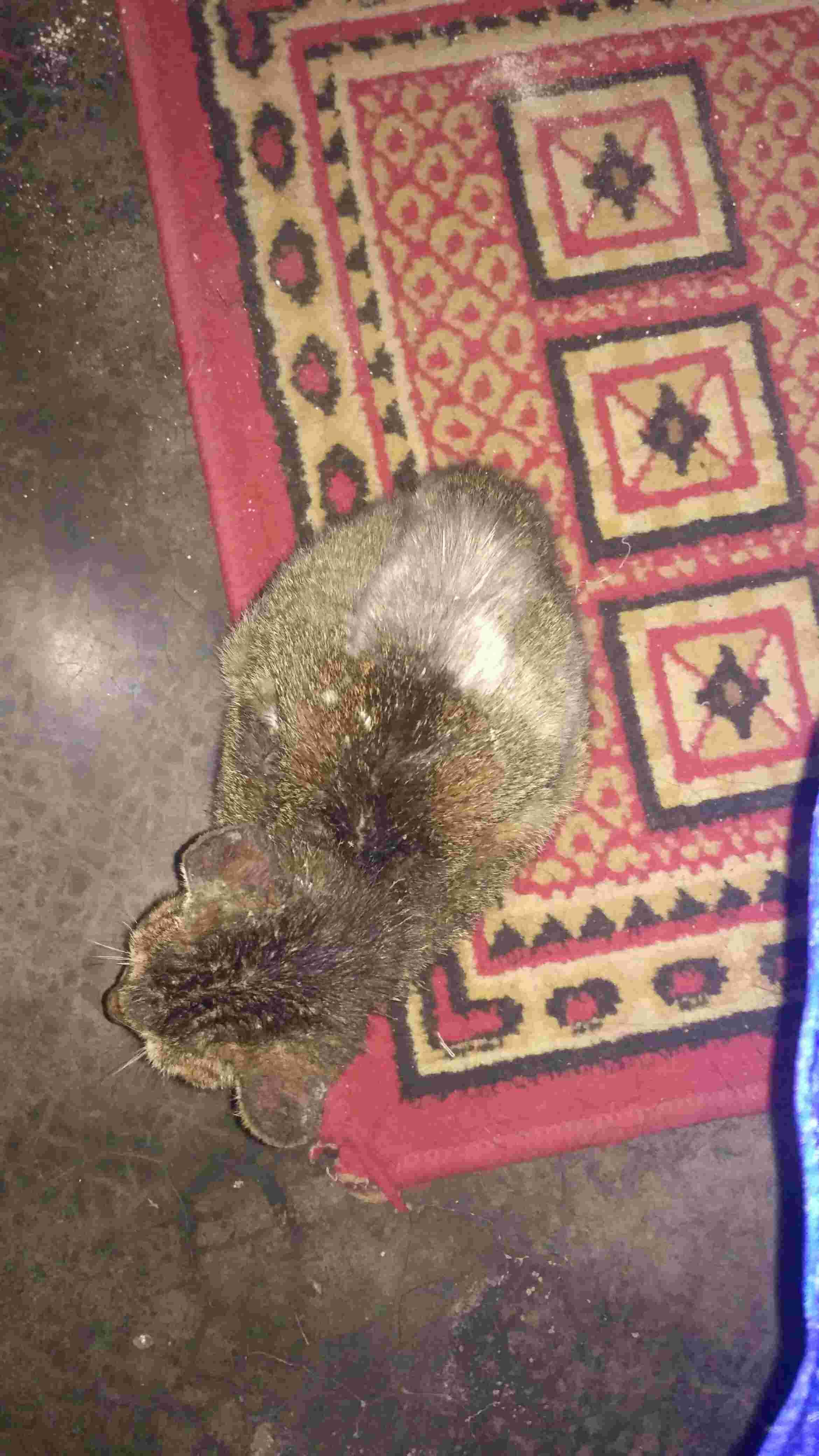 Question details sensitive content