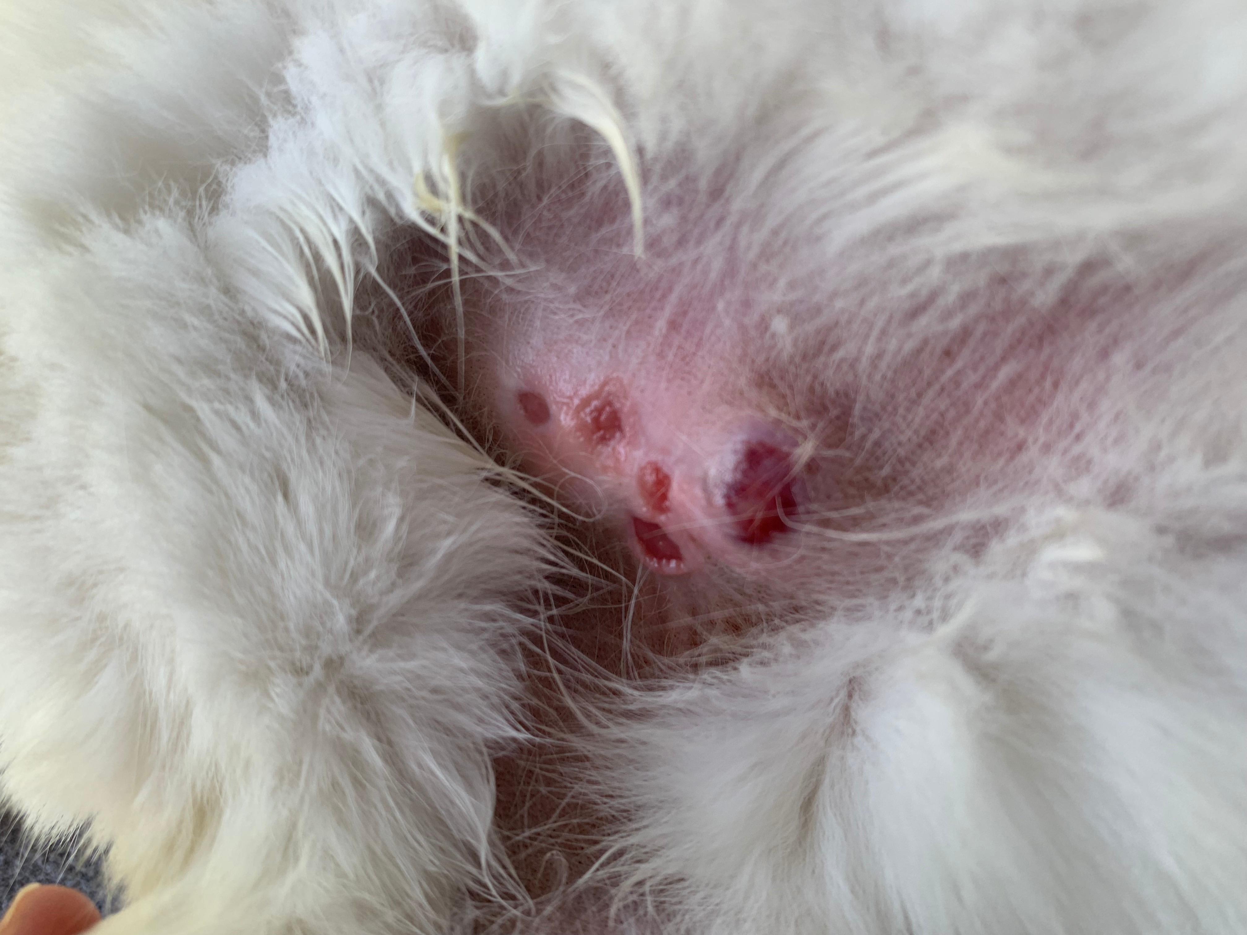 Question details sensitive content