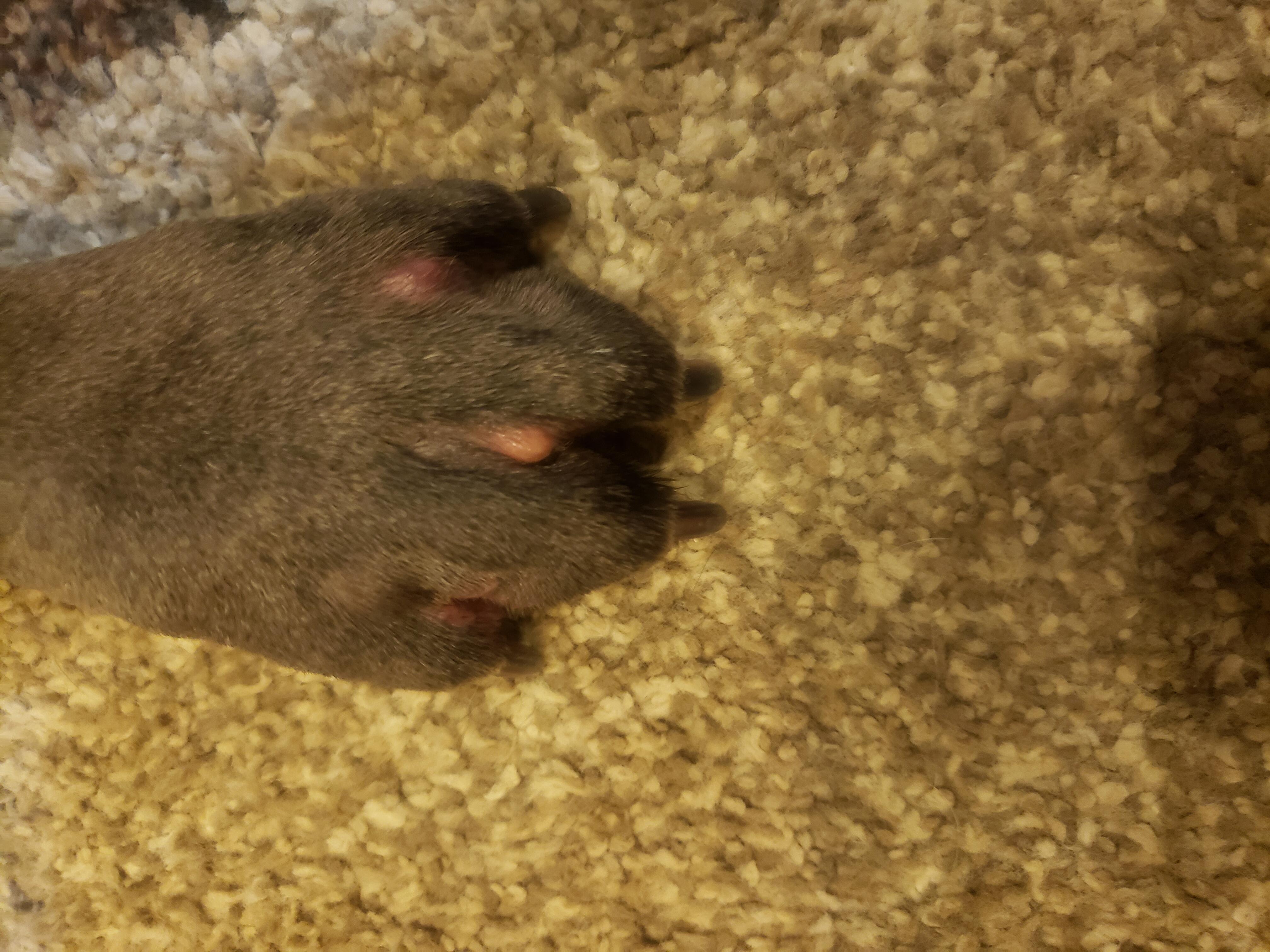 Question details sensitive content