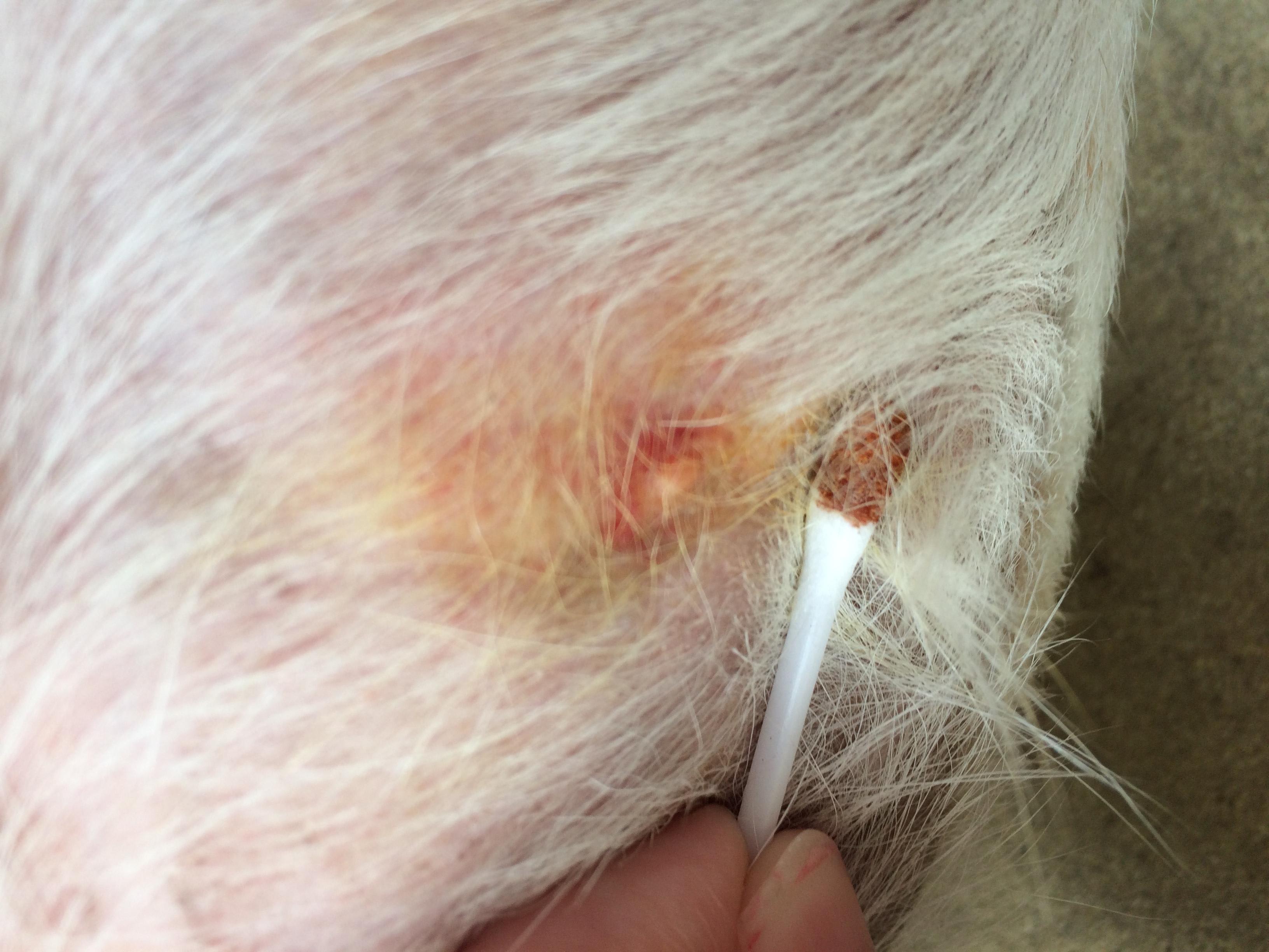 Question details sensitive content