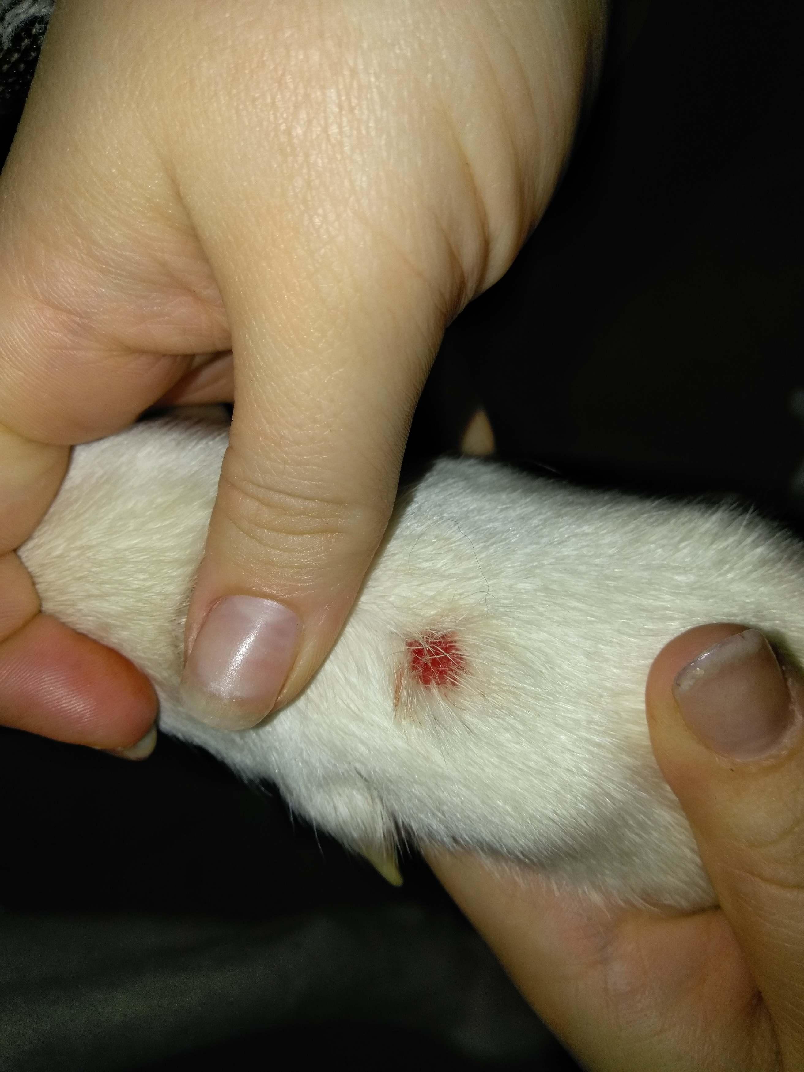 Question details sensitive content