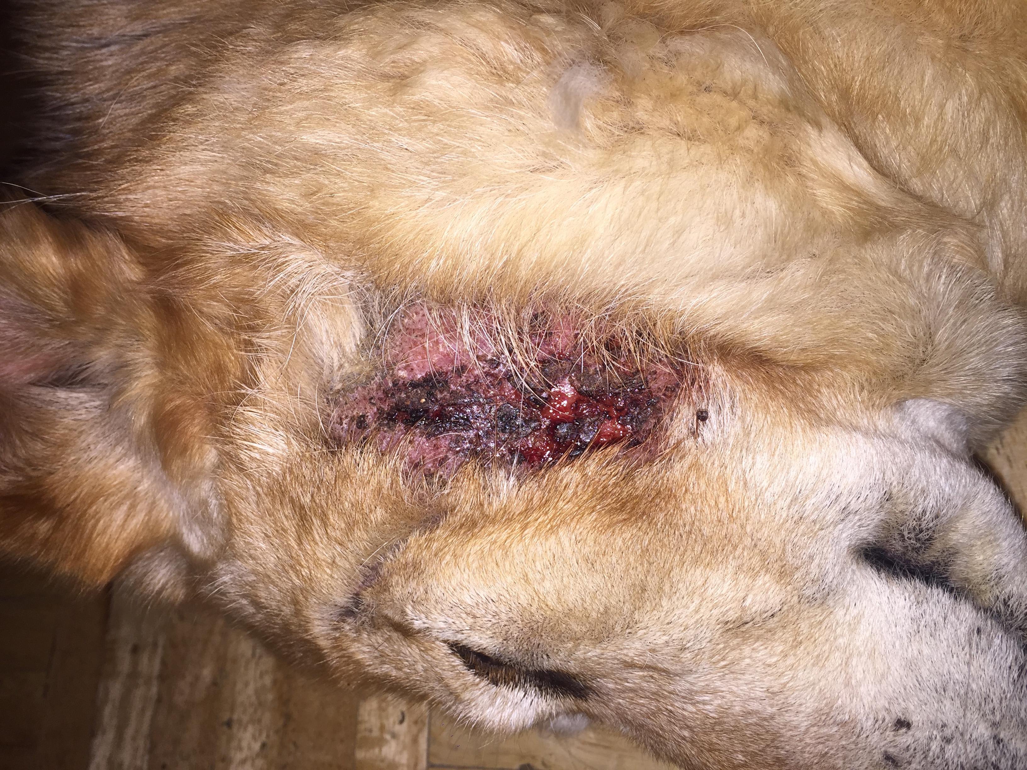 Question details sensitive content