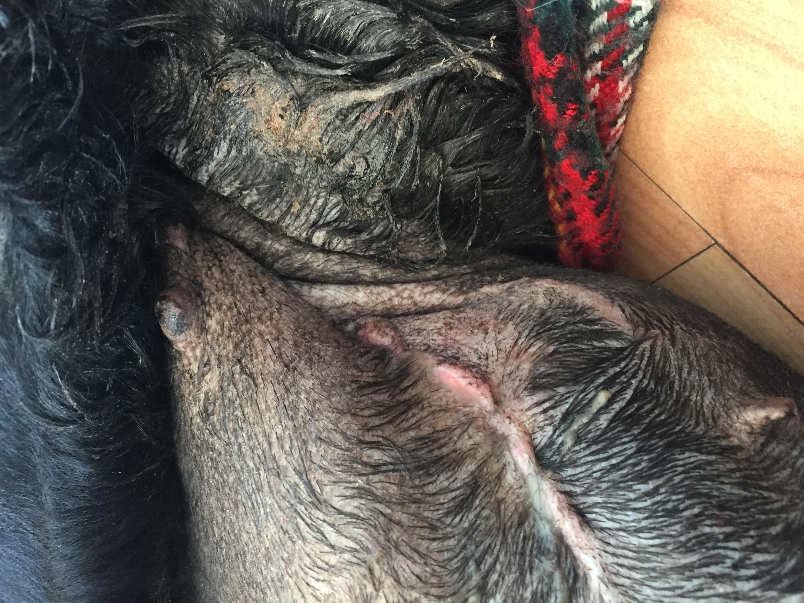 Question details sensitive content