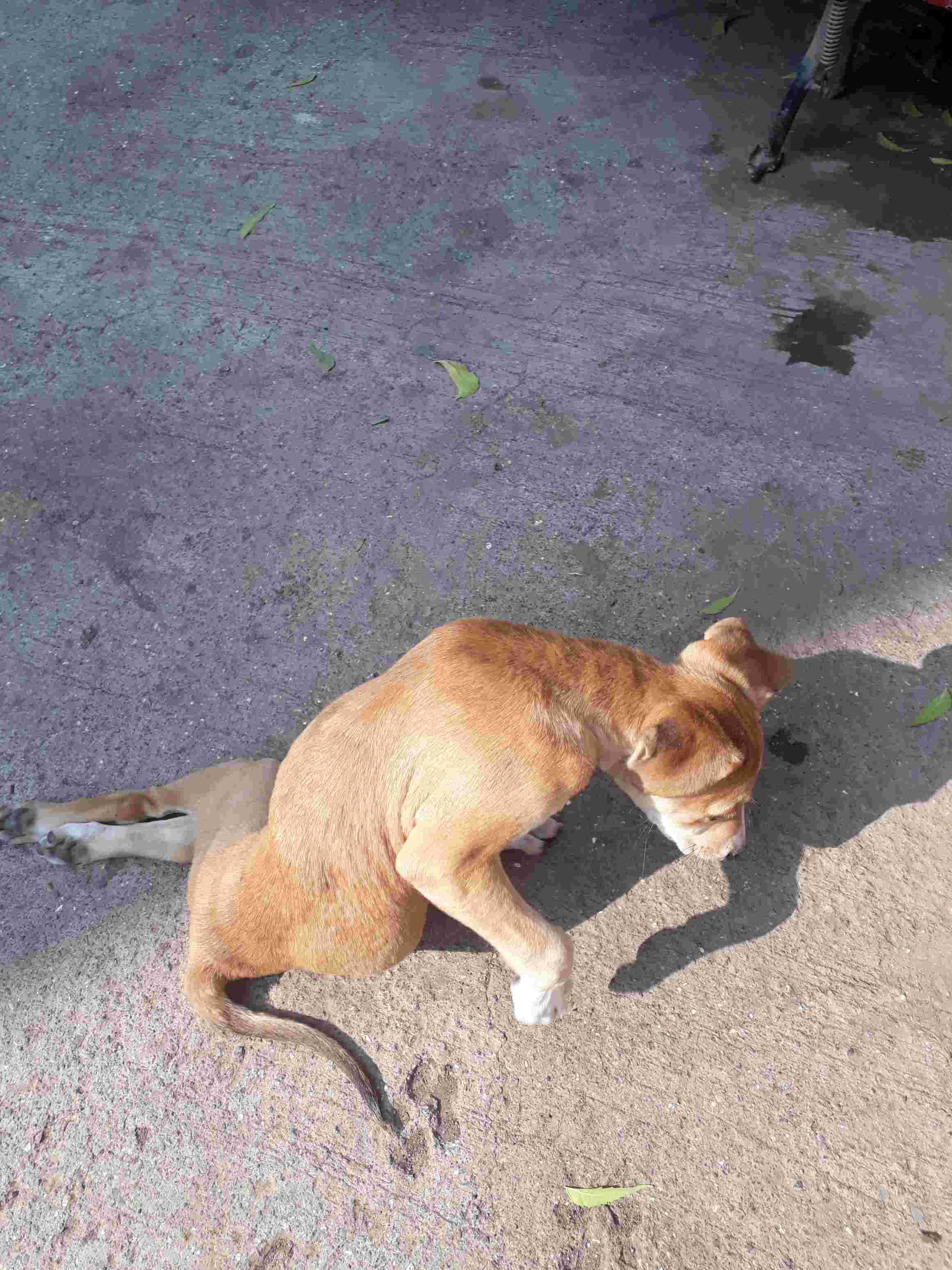 Question details sensitive content