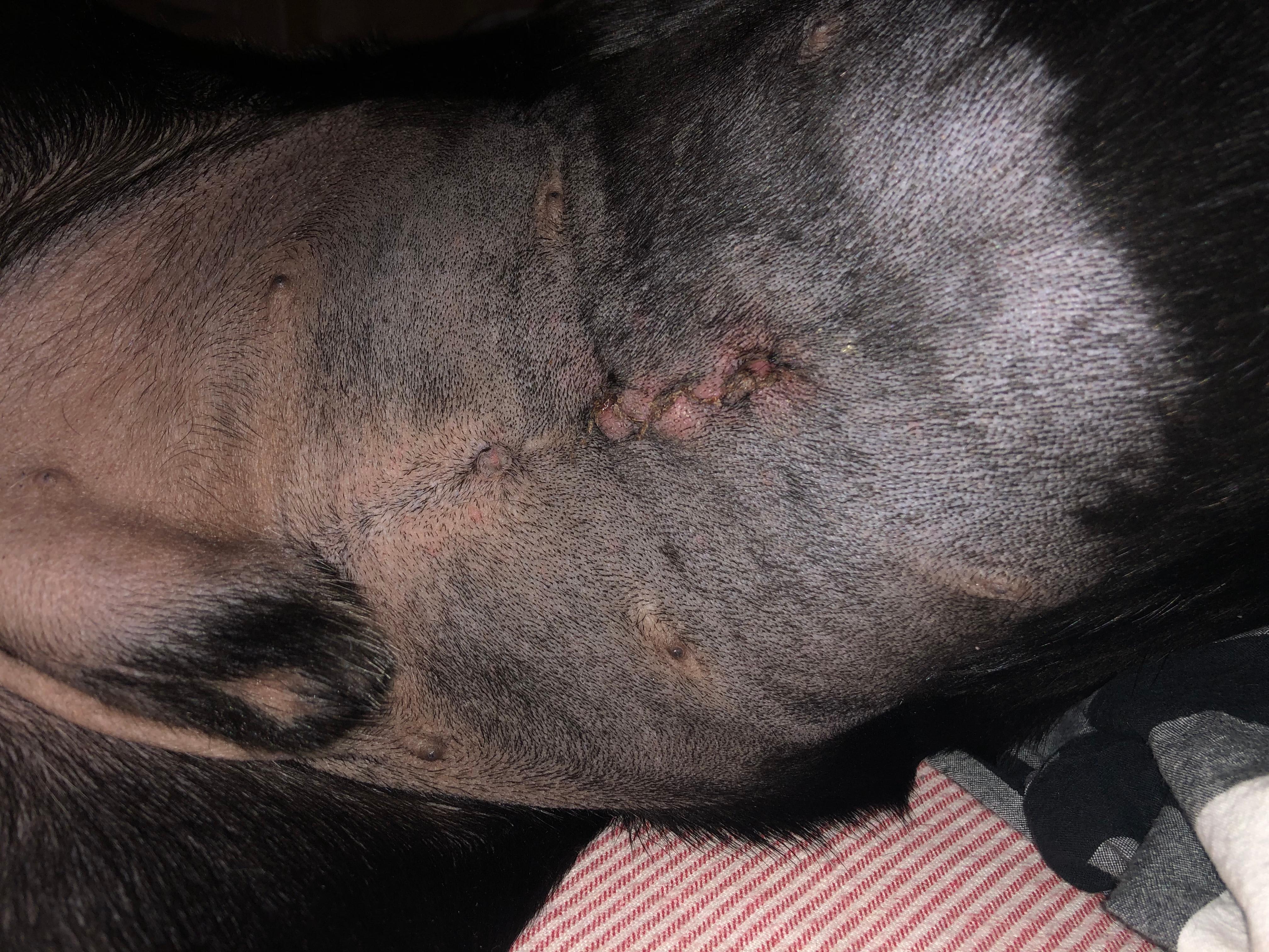 Question details sensitive content