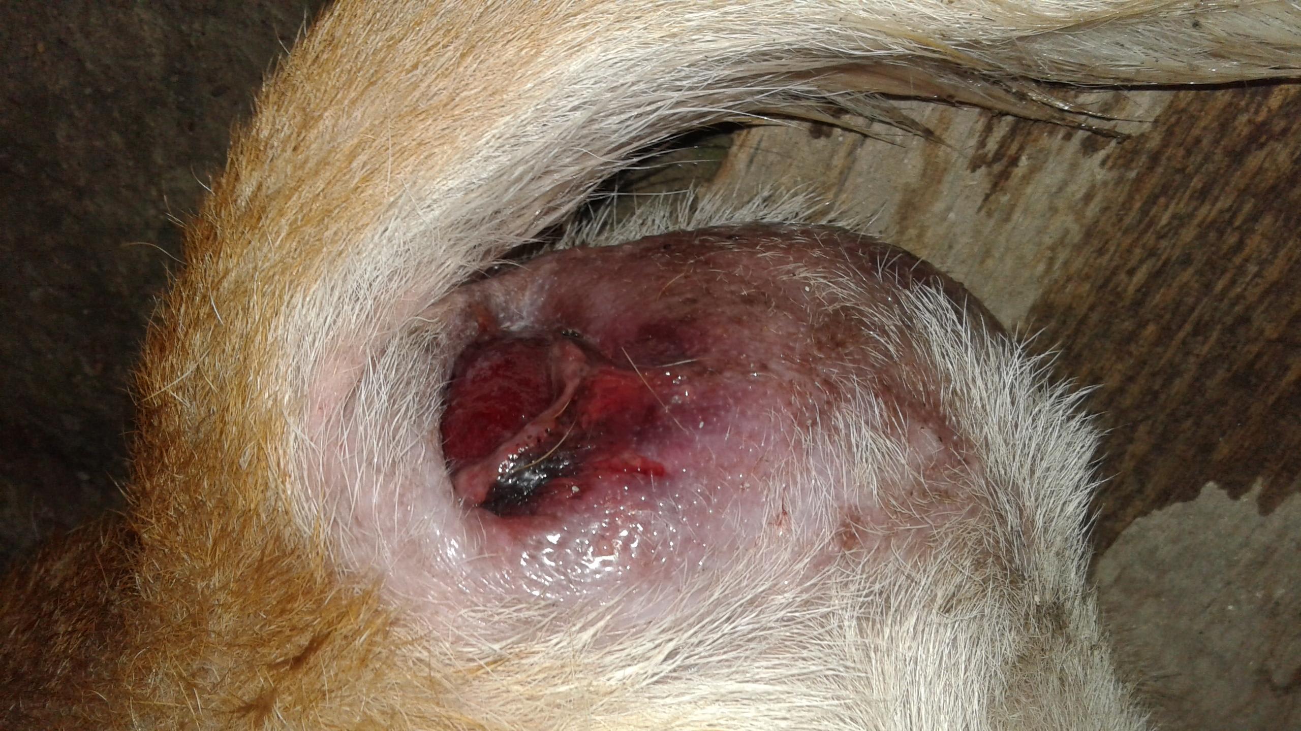 Question details sensitive content