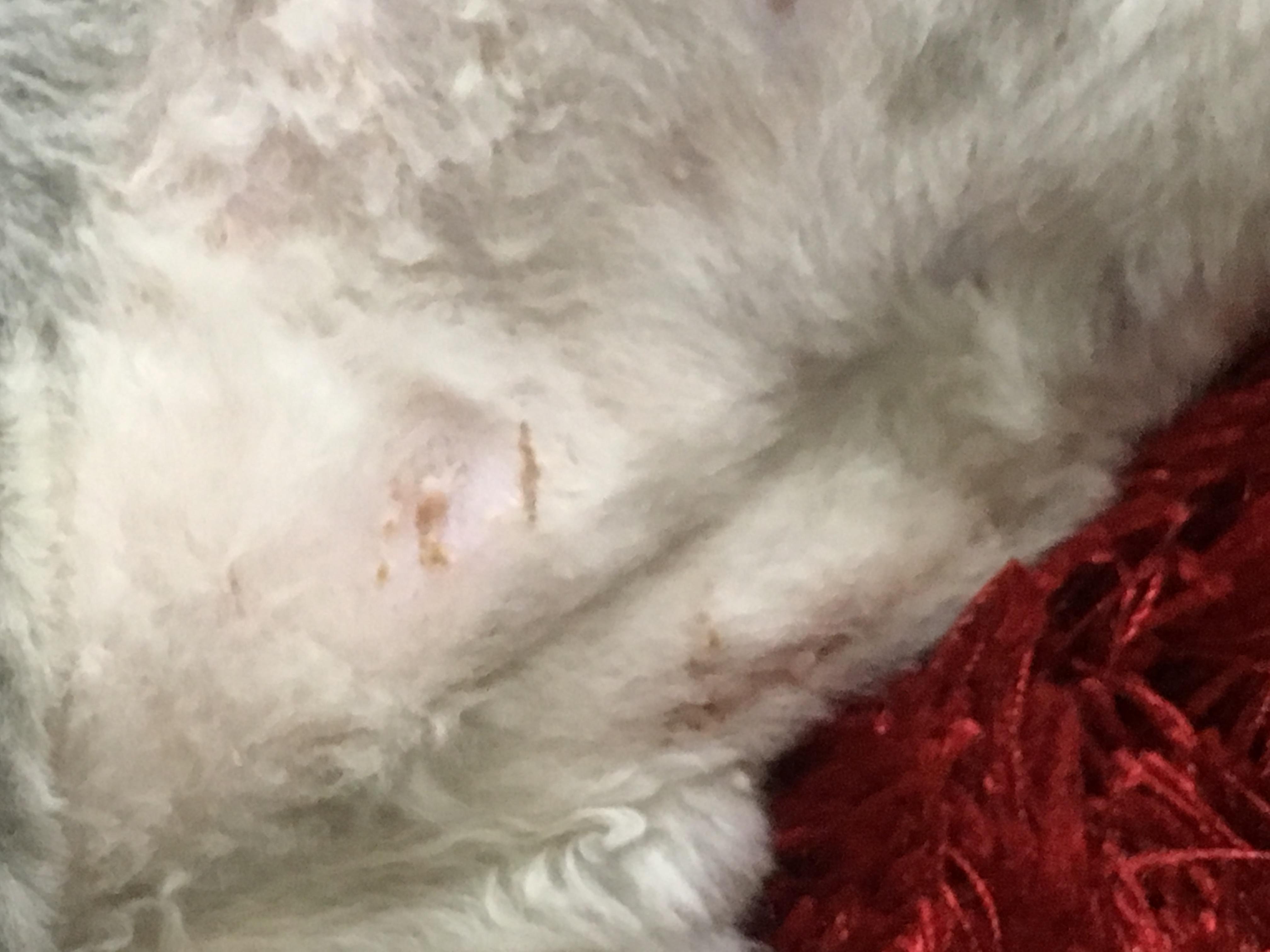 Question details sensitive content