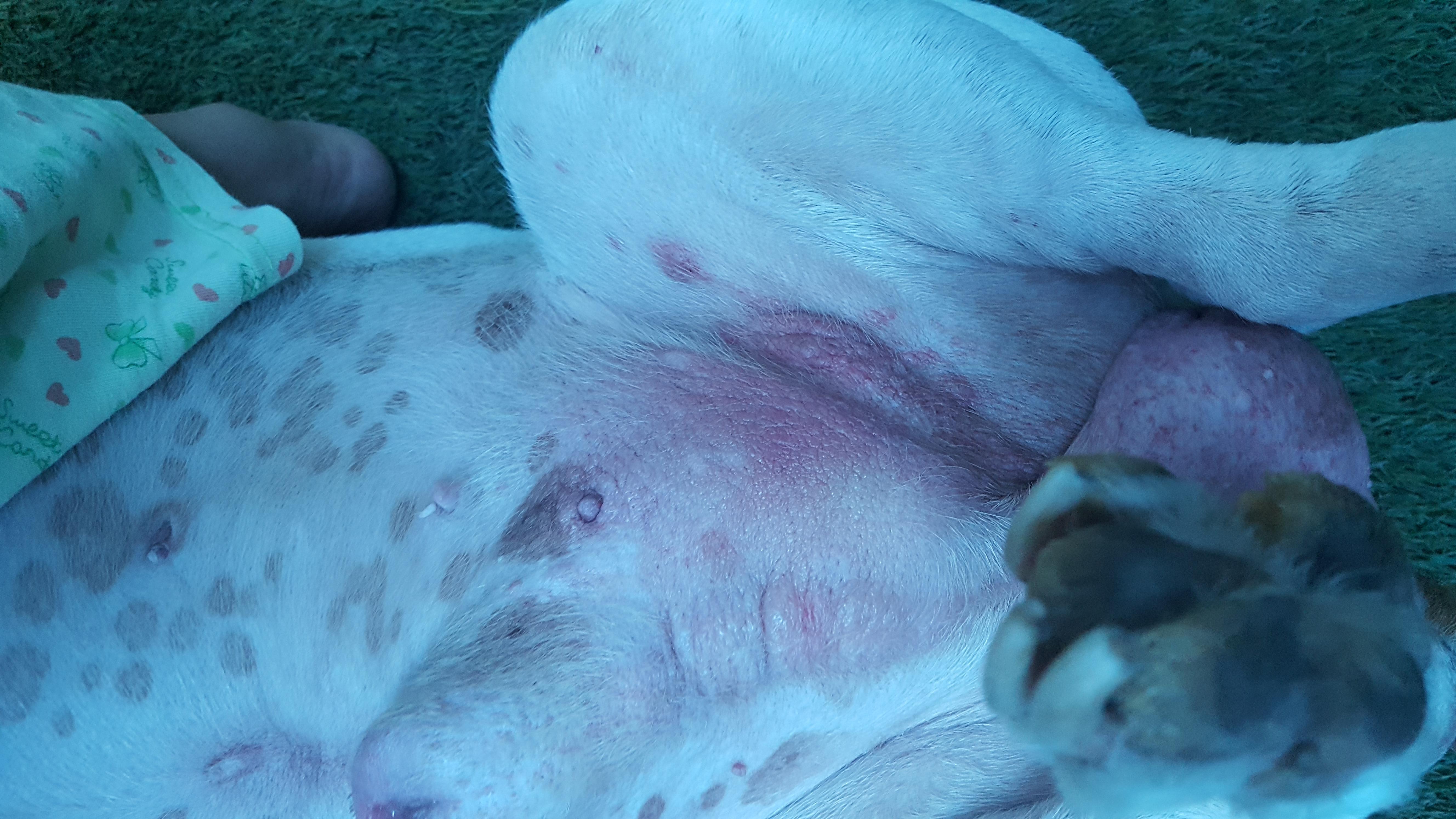 Question details sensitive content