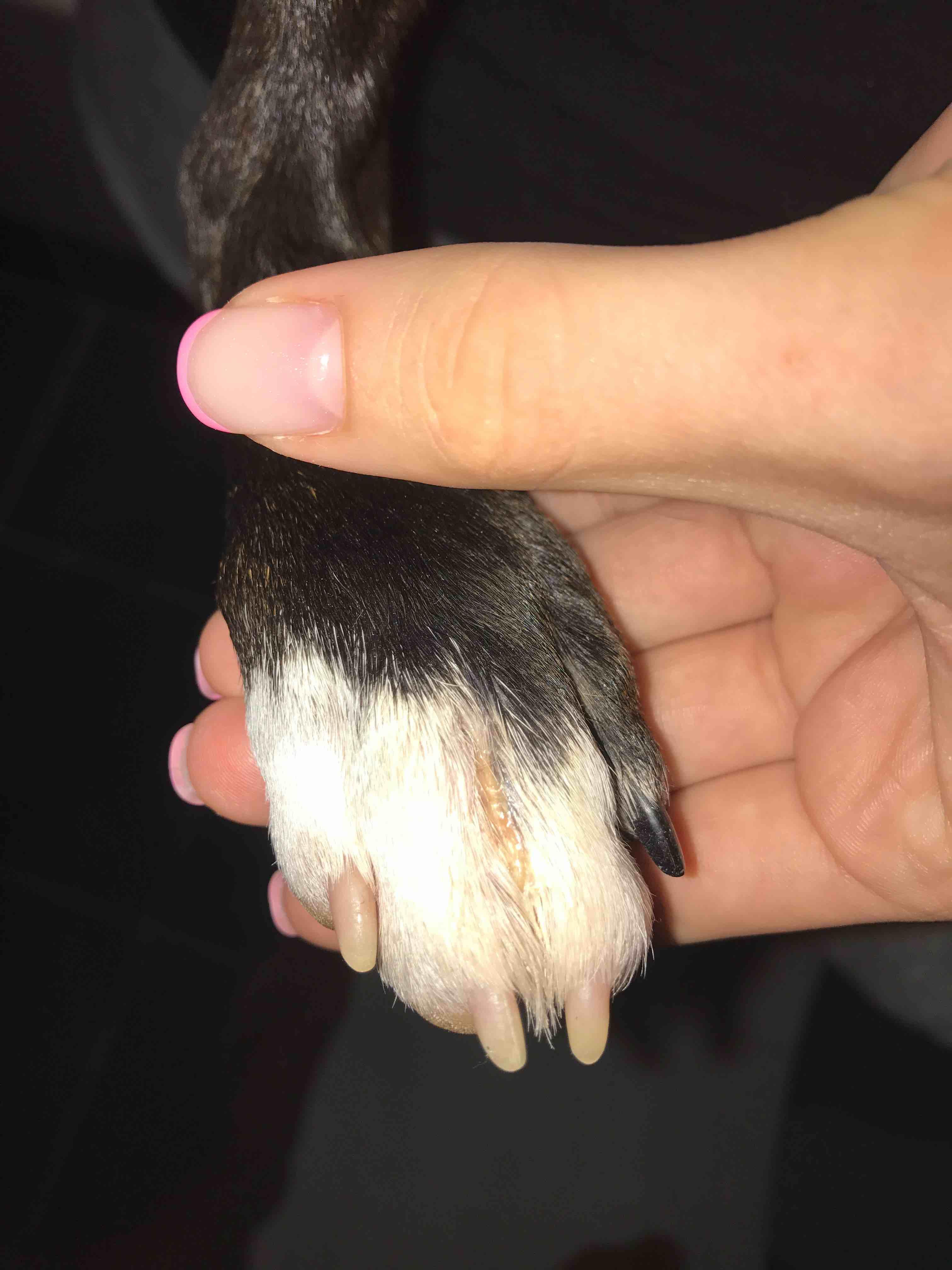 Question details sensitive content