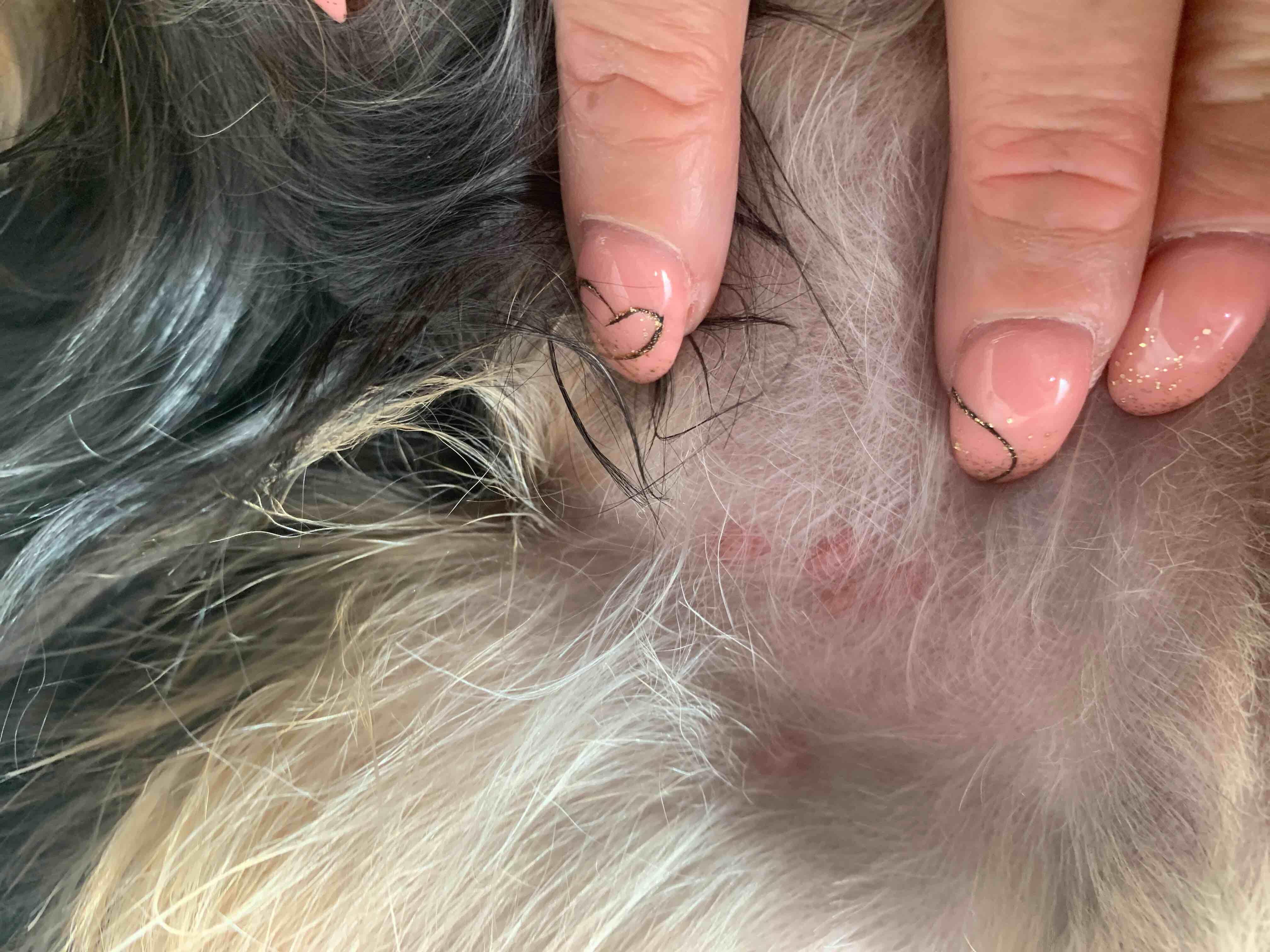 Question details sensitive content