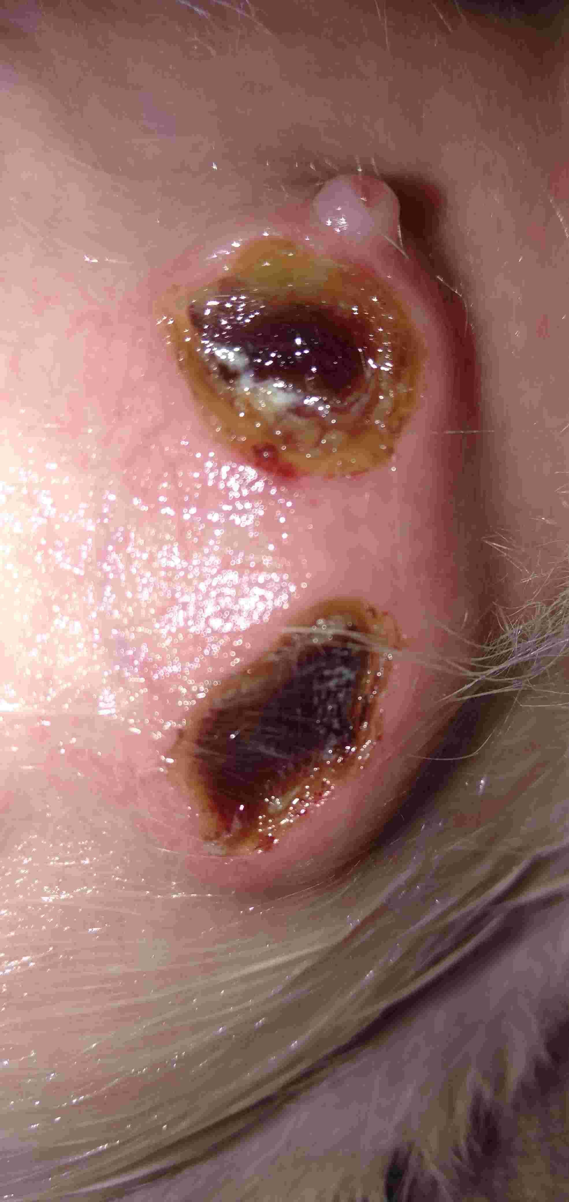 Question details sensitive content