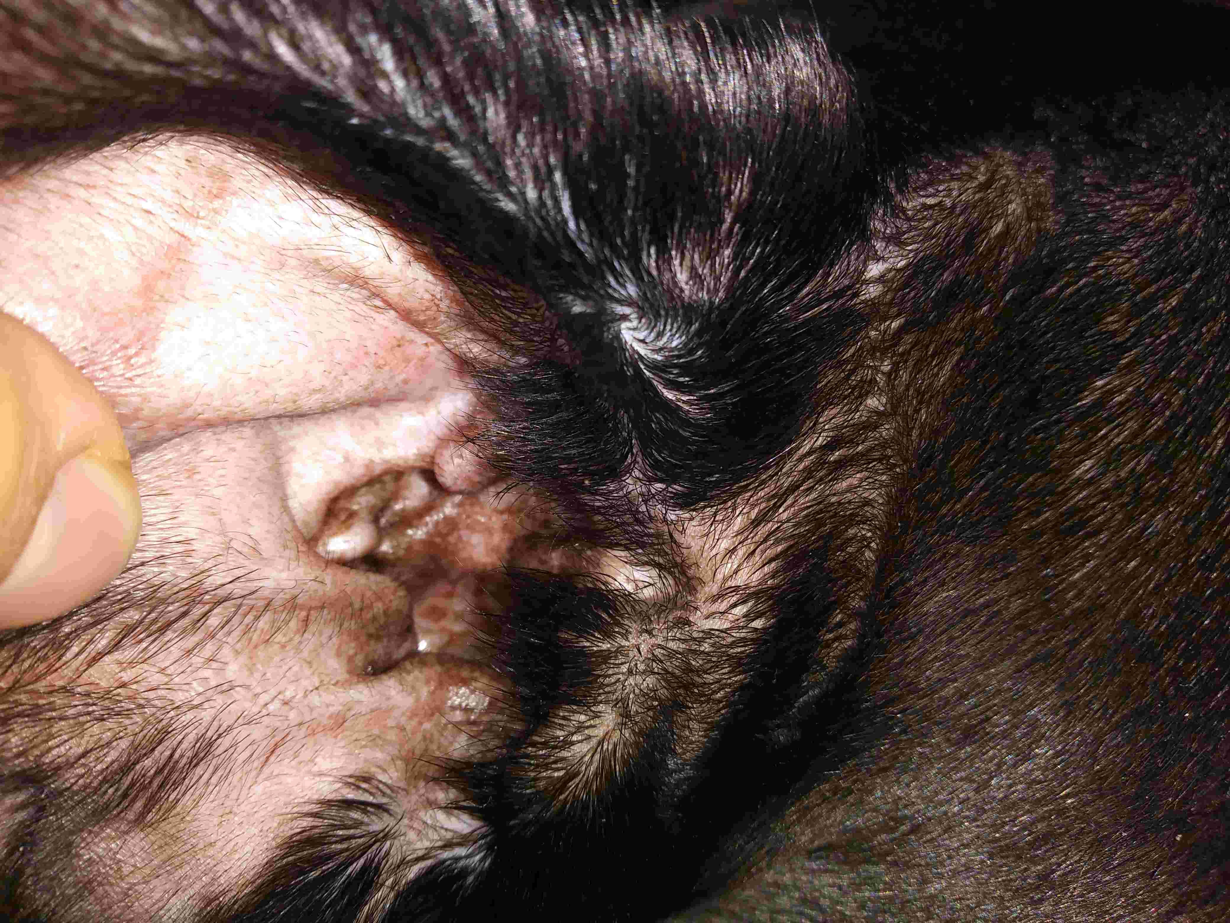 Question details sensitive content