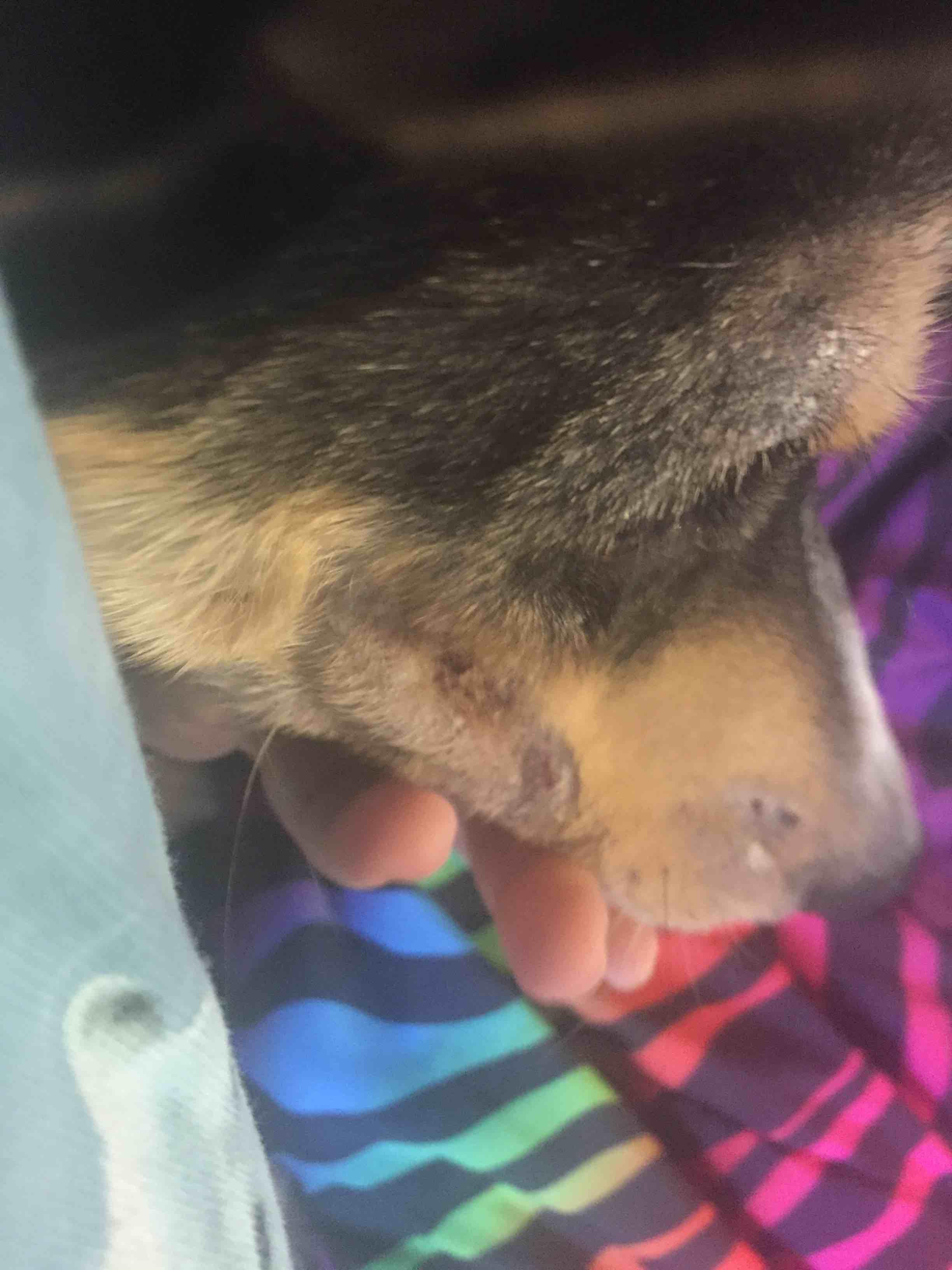 Question details sensitive content