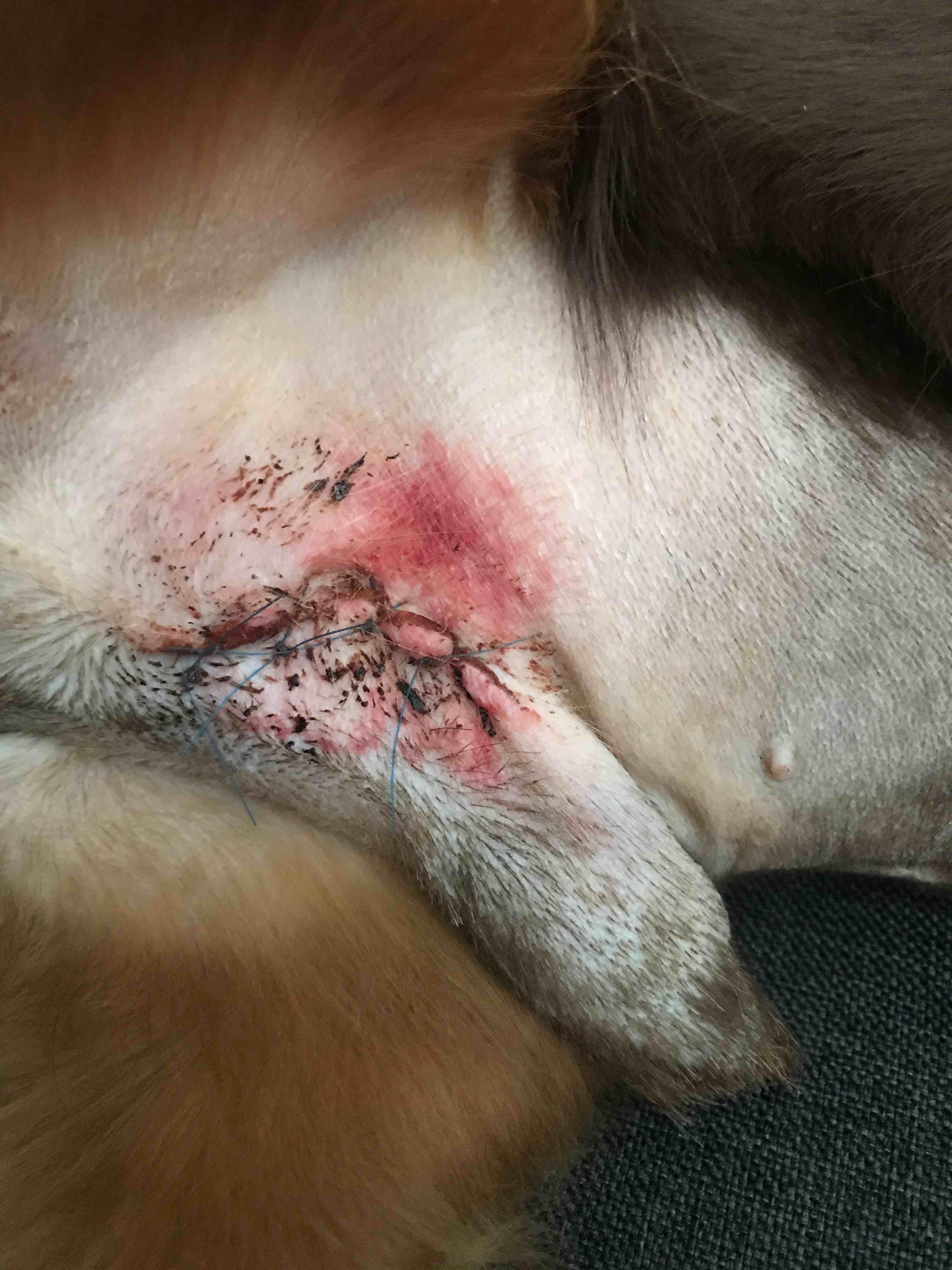 Question details sensitive content