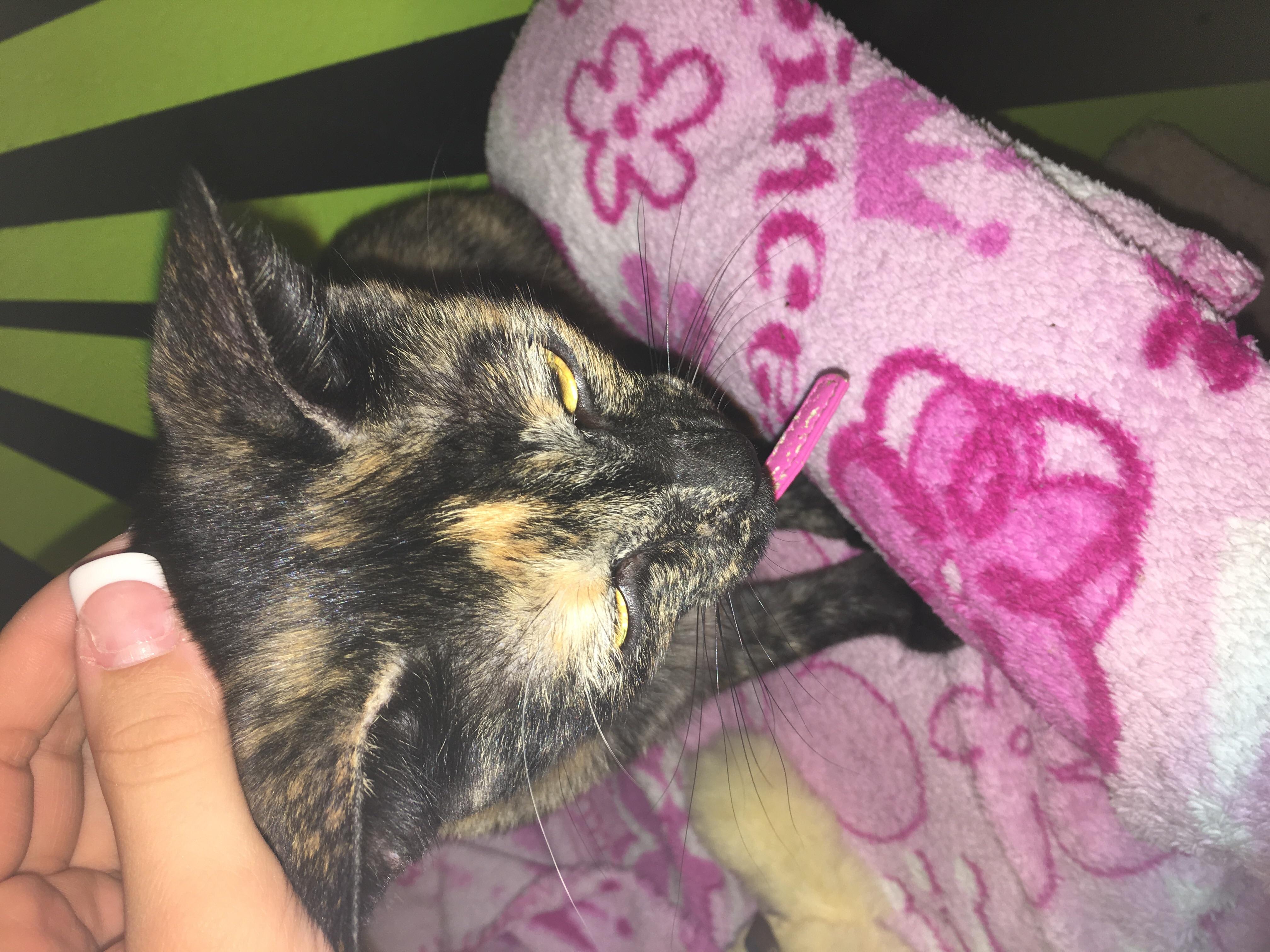 Question details sensitive content