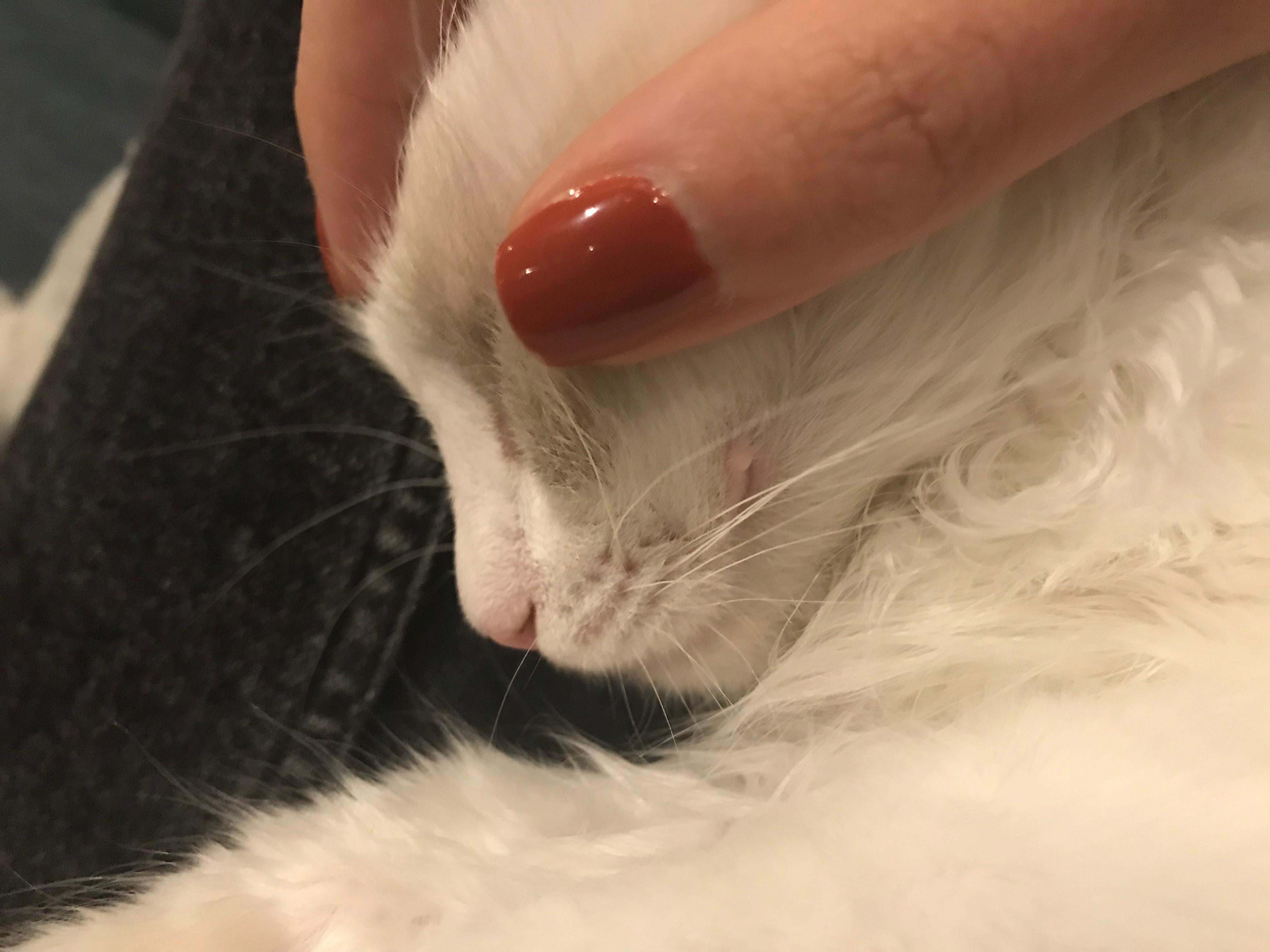 Question details sensitive content