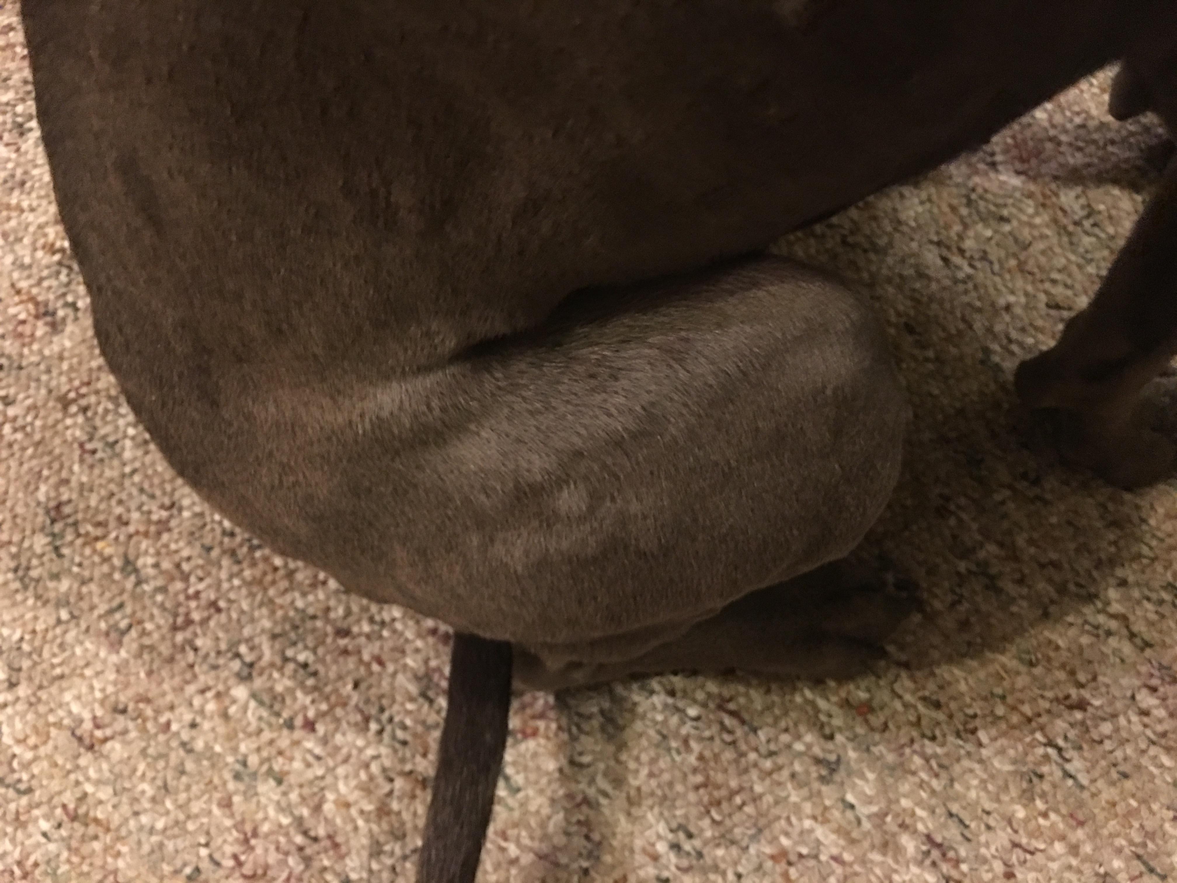 Question details sensitive content