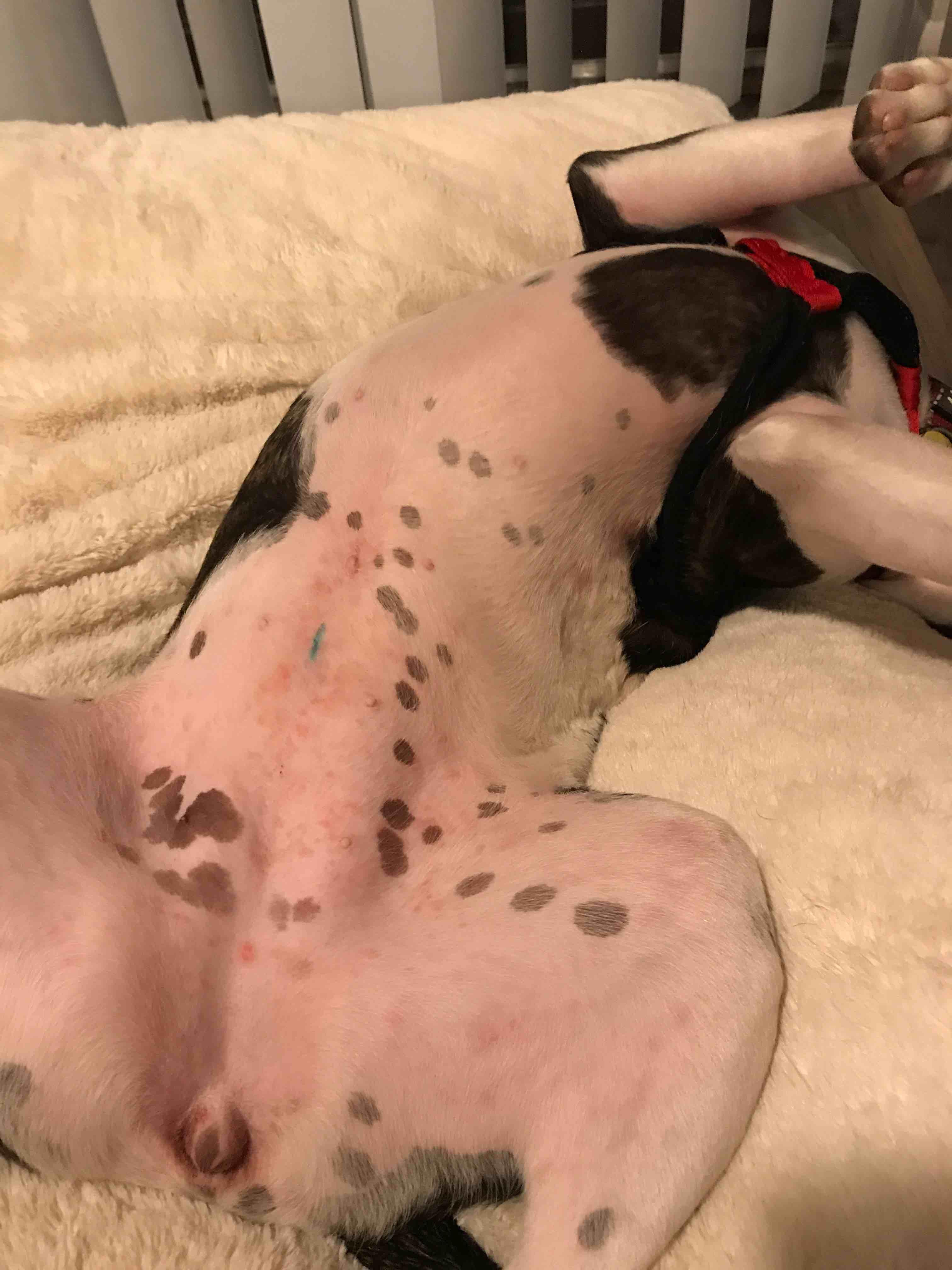 Question details sensitive content