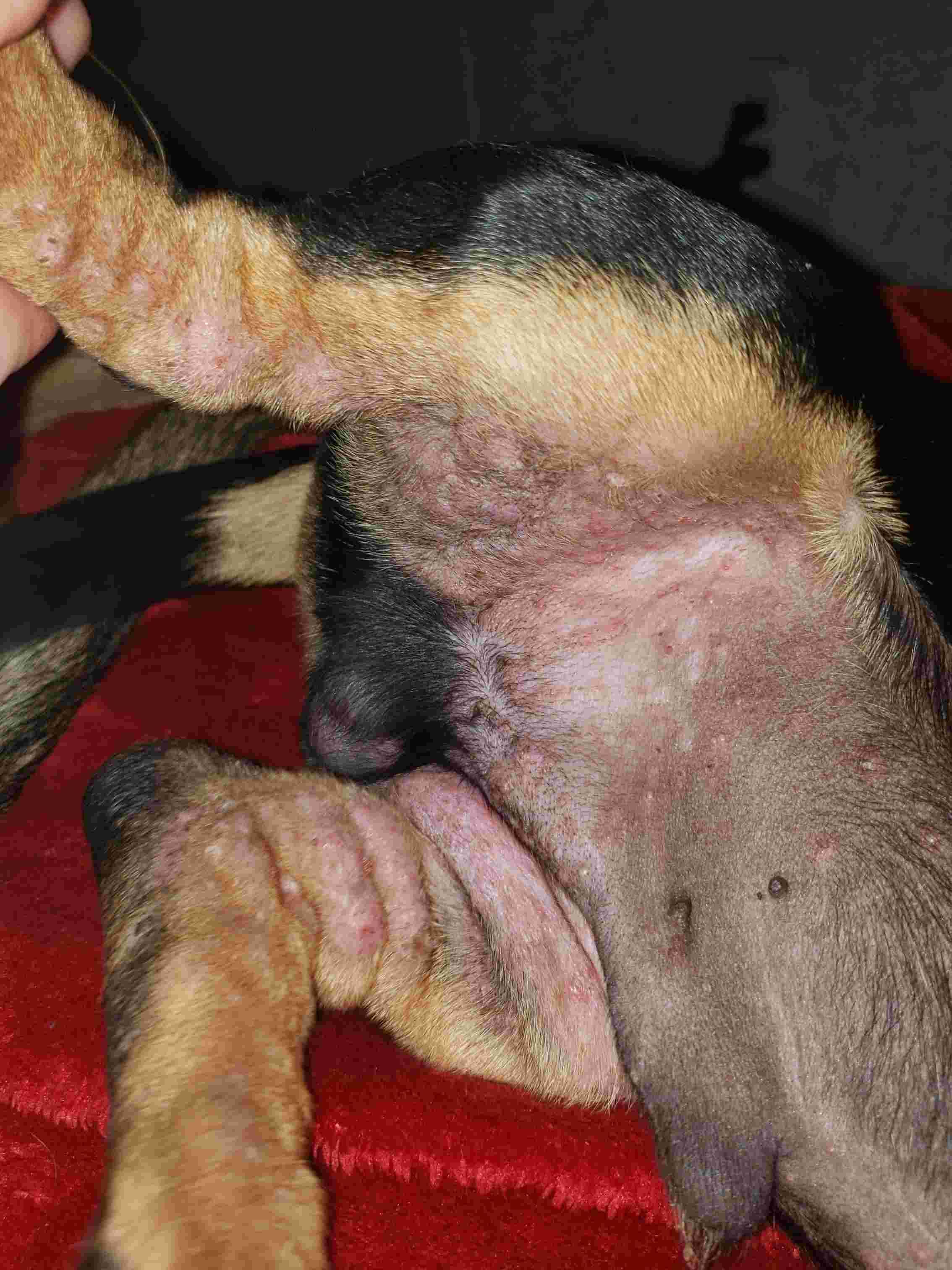 Question details sensitive content