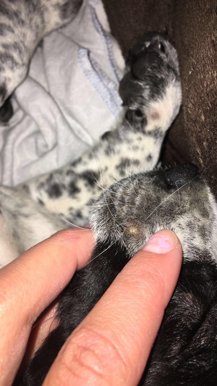 Question details sensitive content