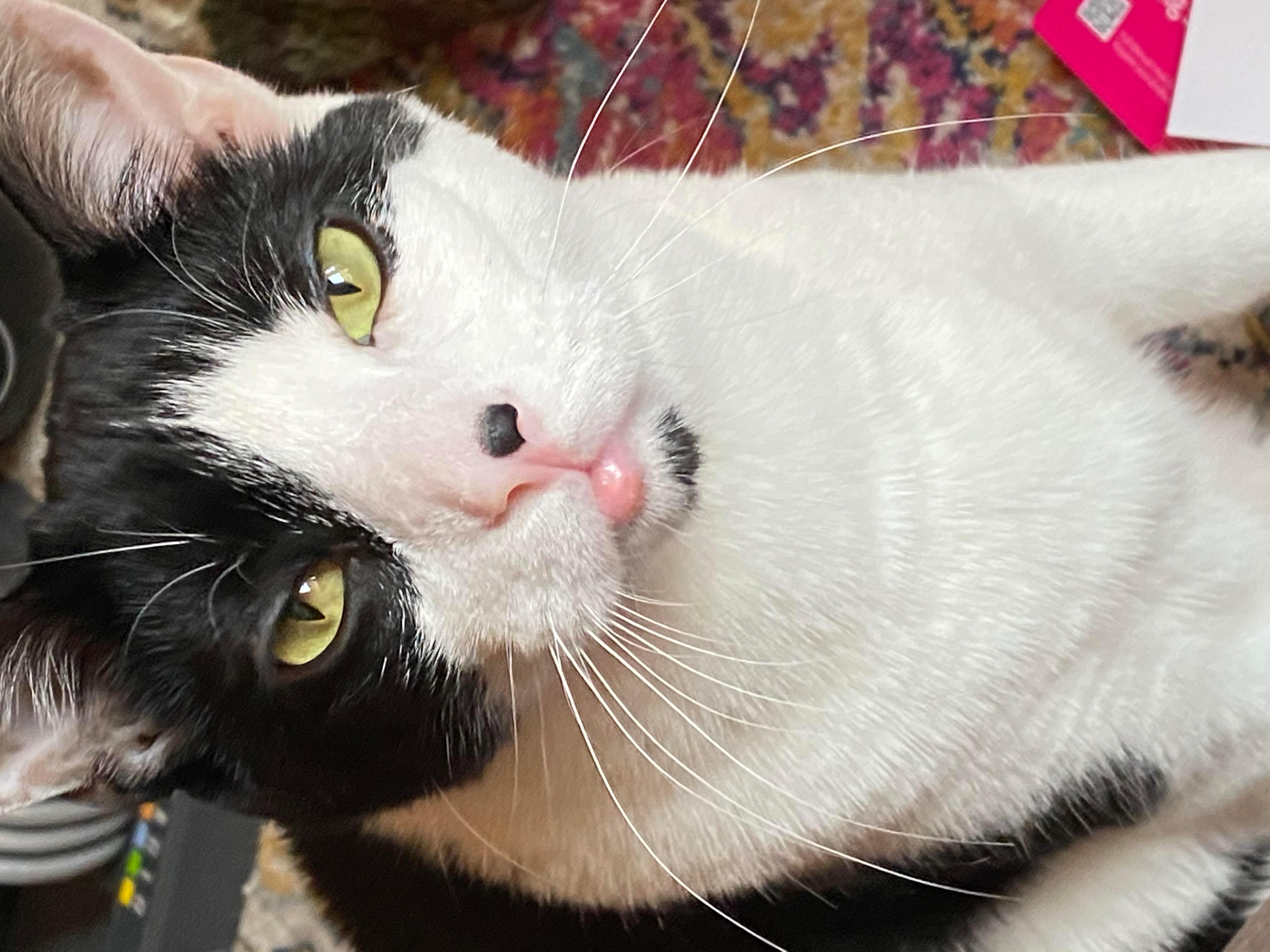 Question details sensitive content