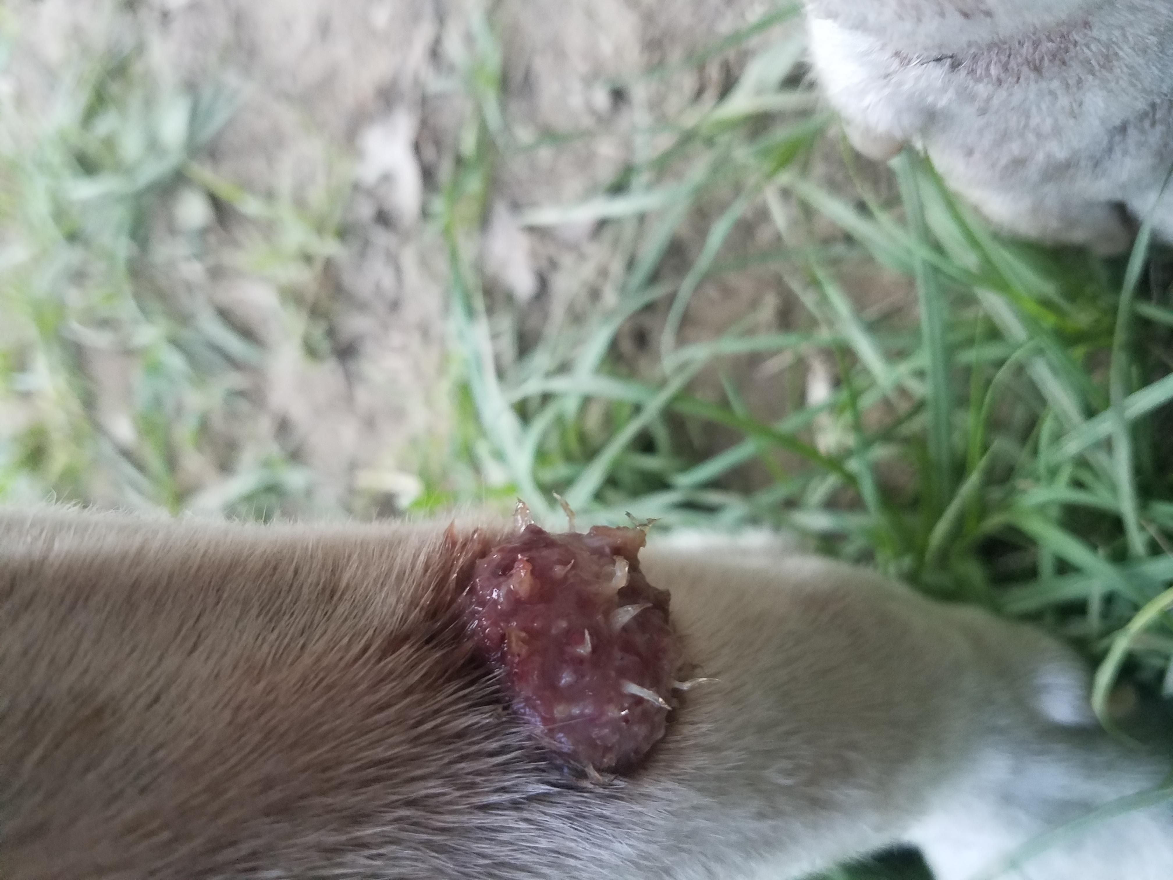 Question details sensitive content