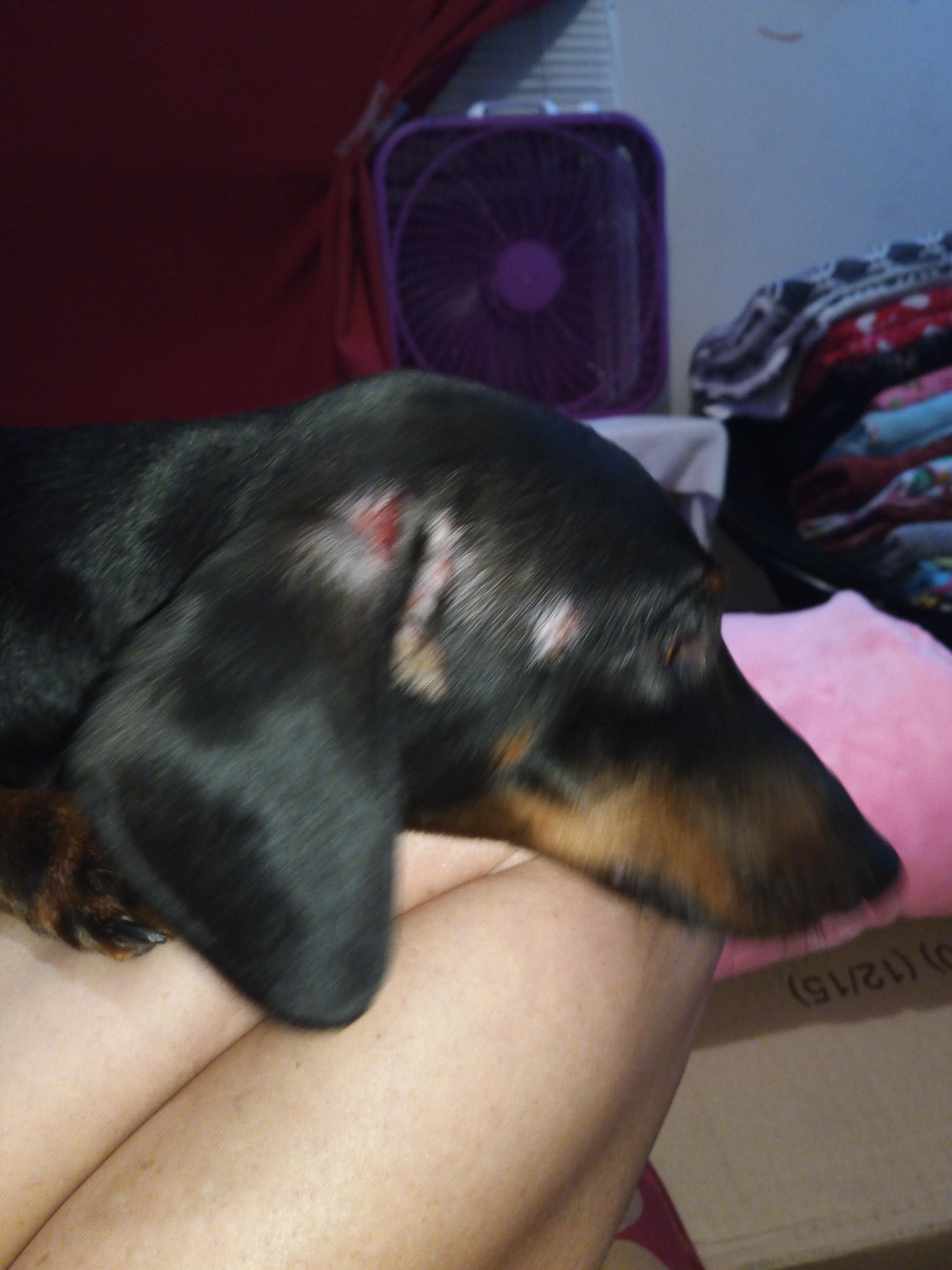 Question details sensitive content