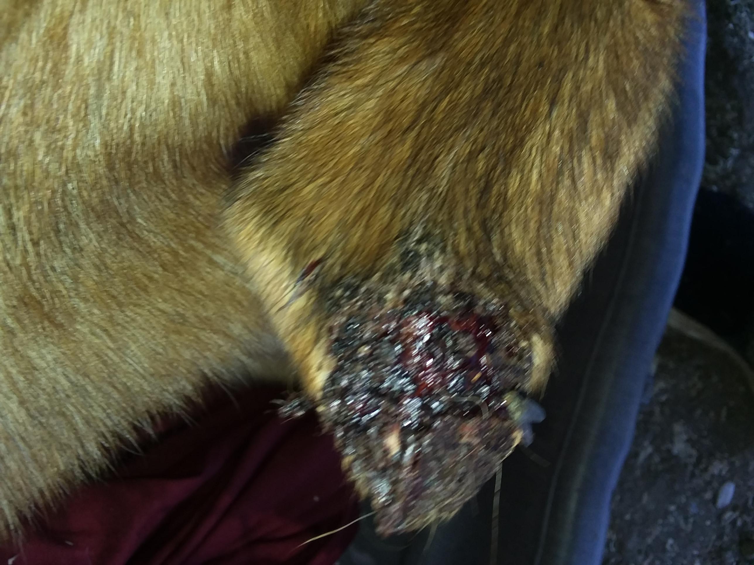 Question details sensitive content