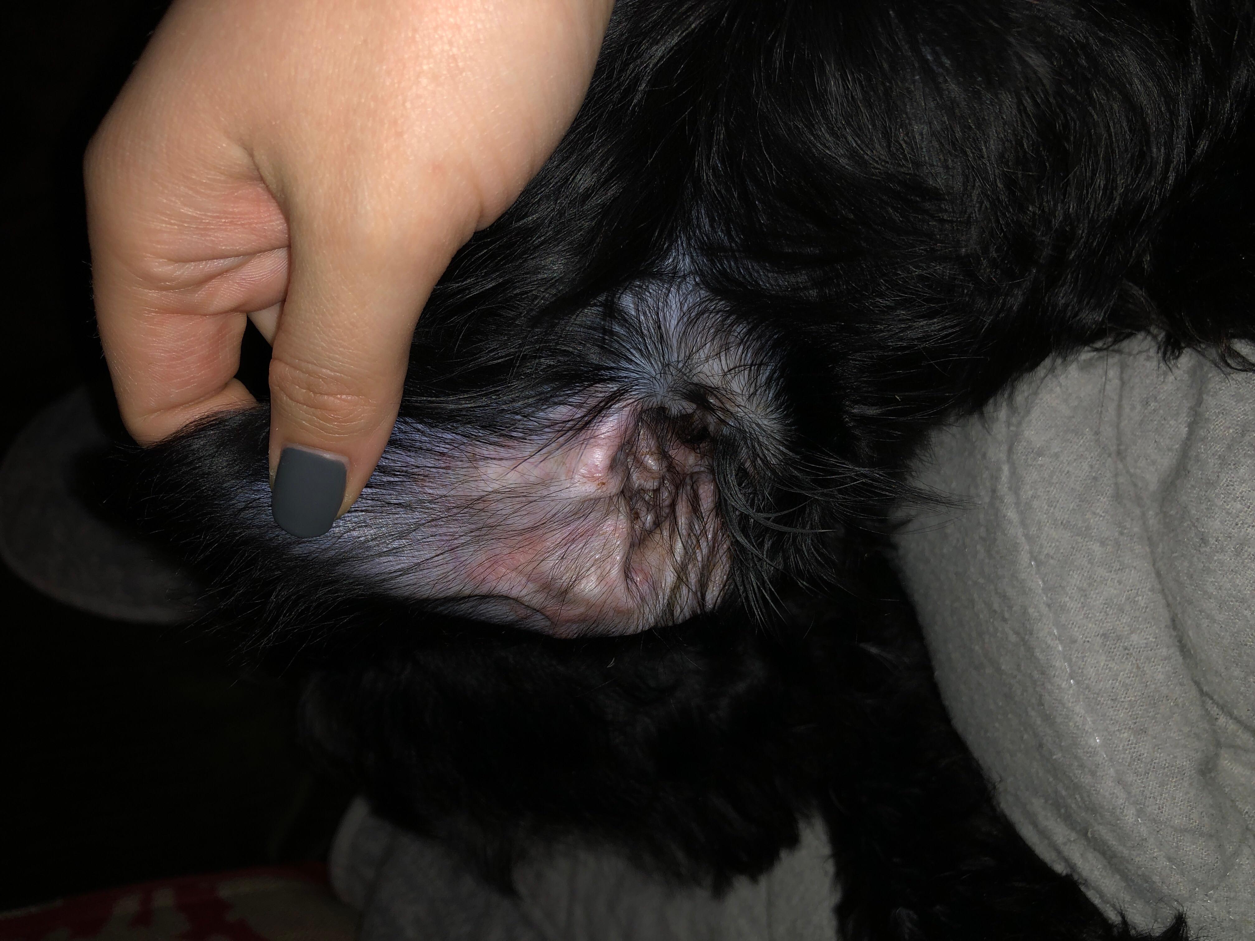 Question details sensitive content