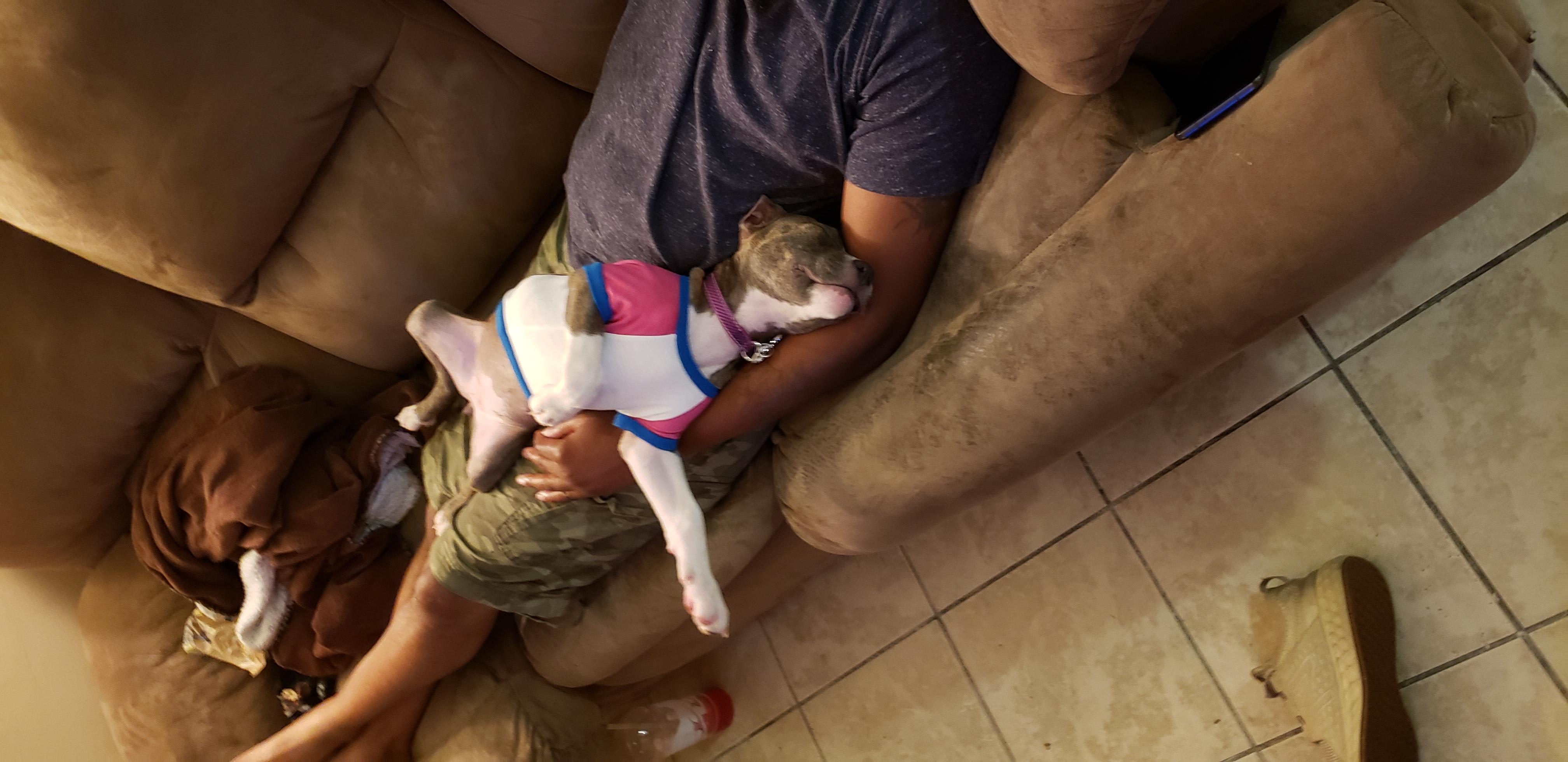 Question details sensitive content