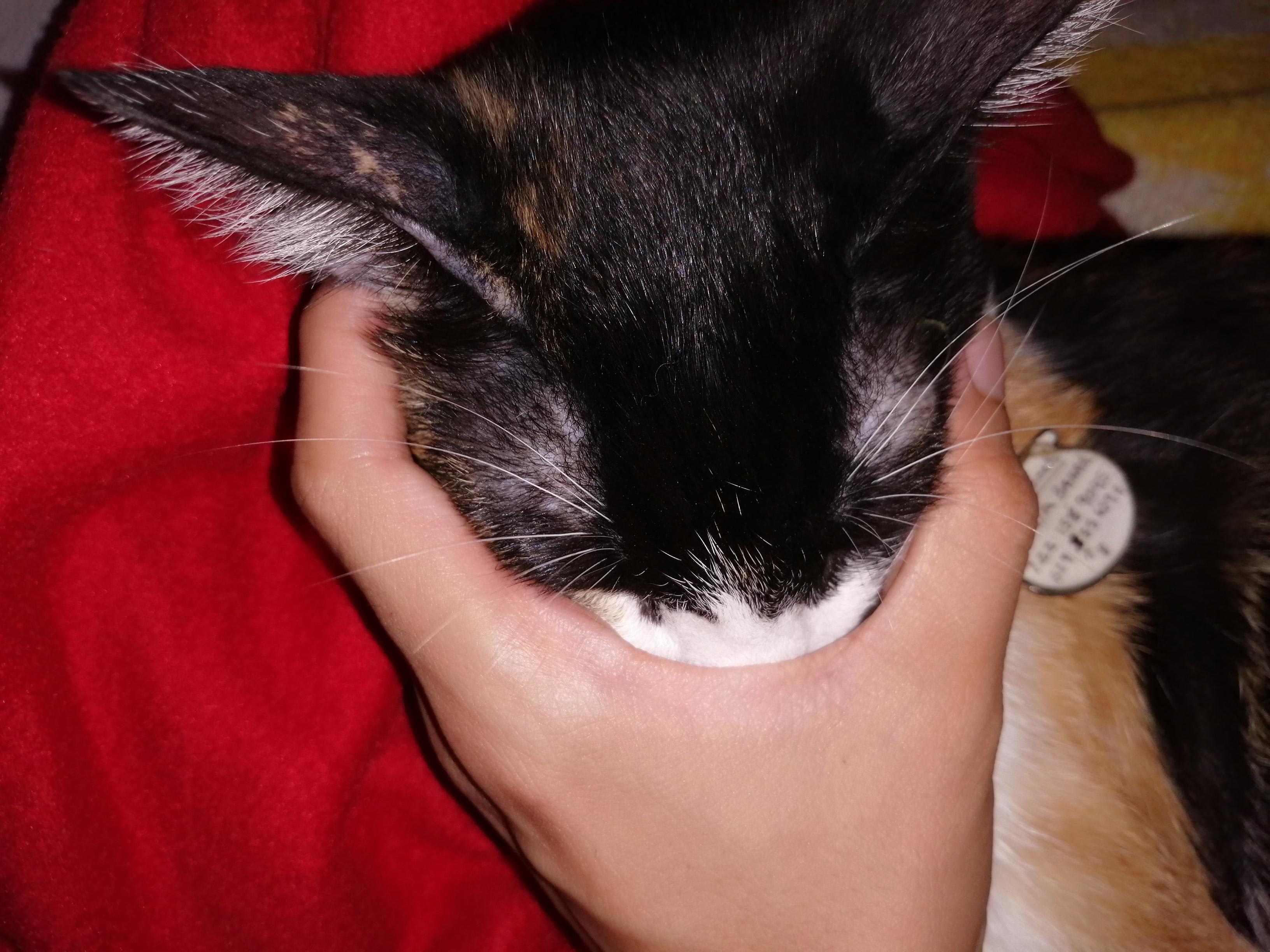 Question details sensitive content