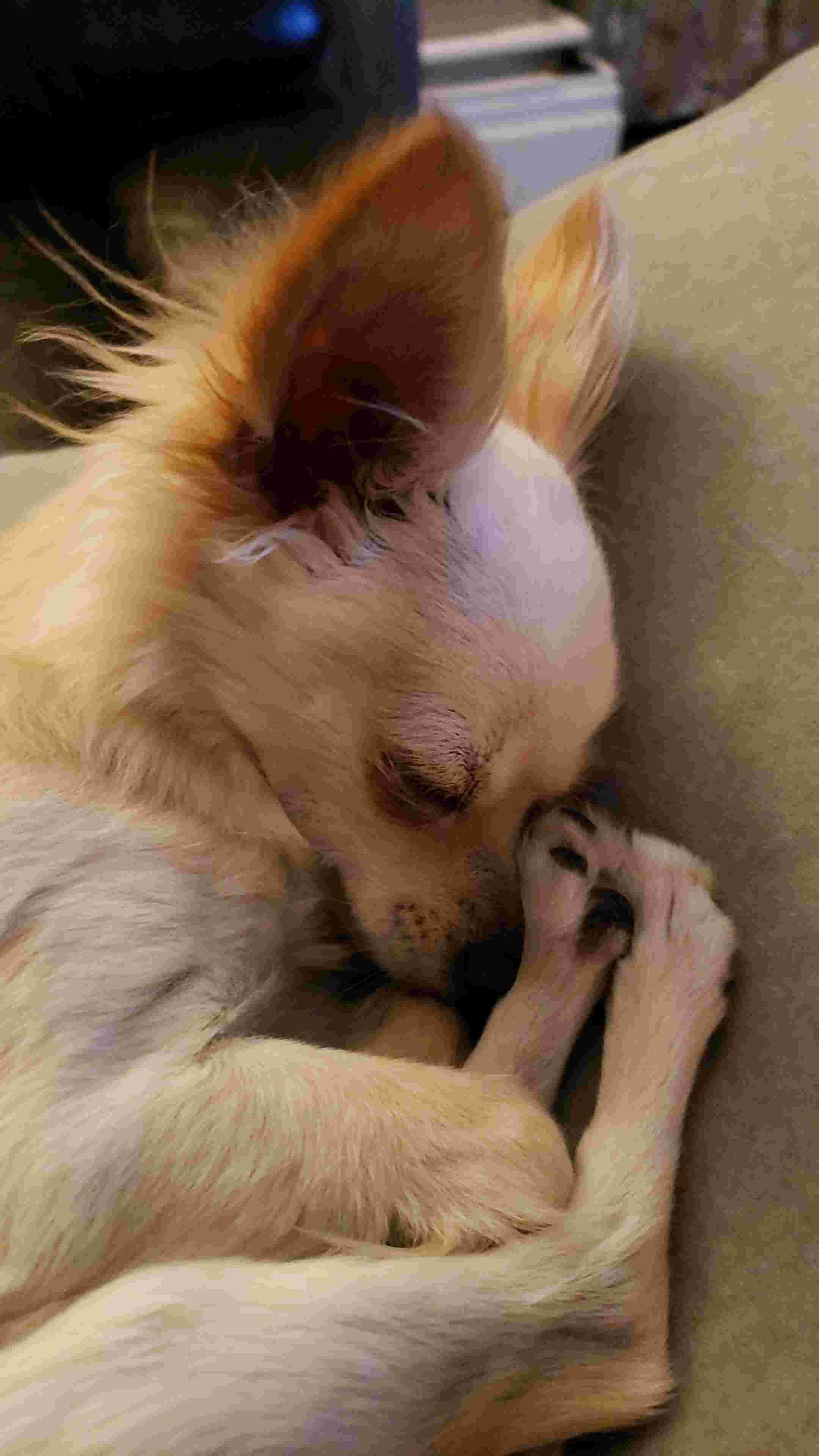 Question details sensitive content