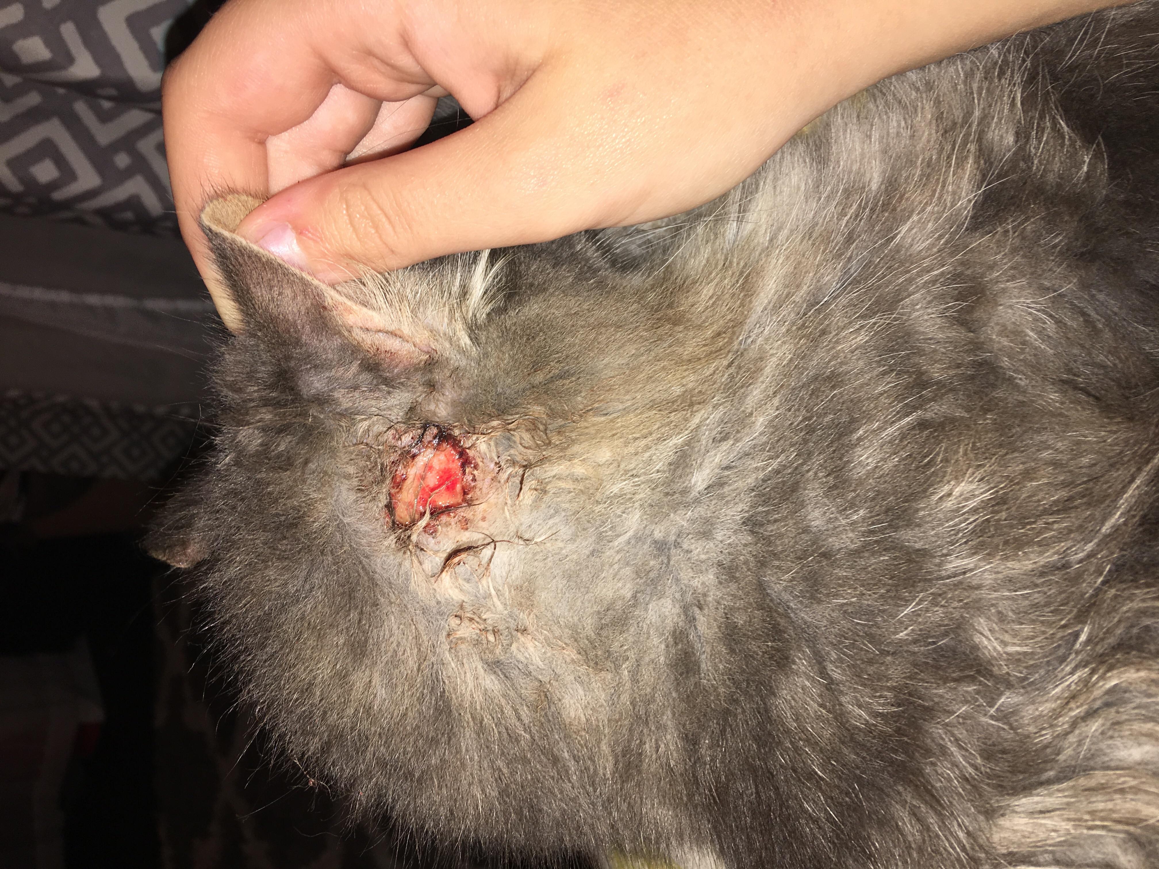 Question details sensitive content