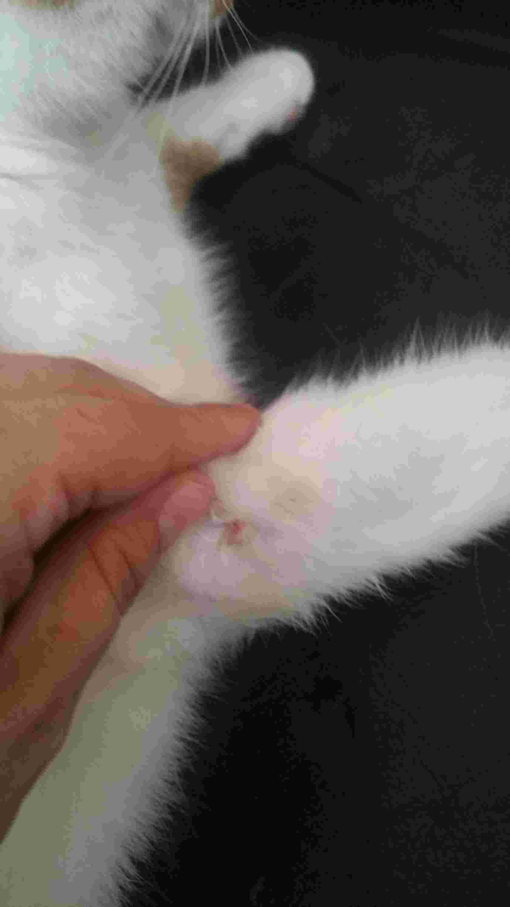 Question details sensitive content