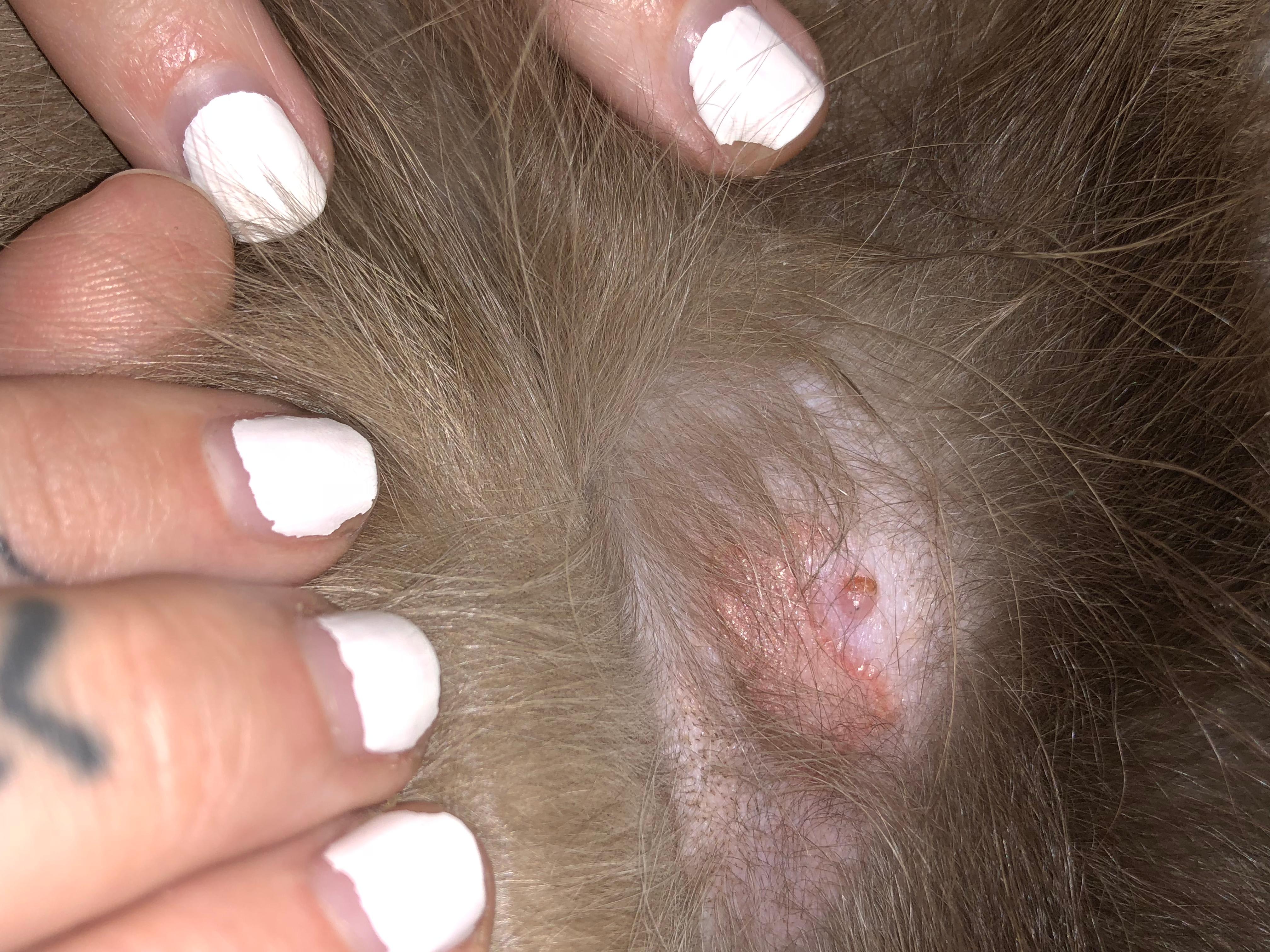 Question details sensitive content