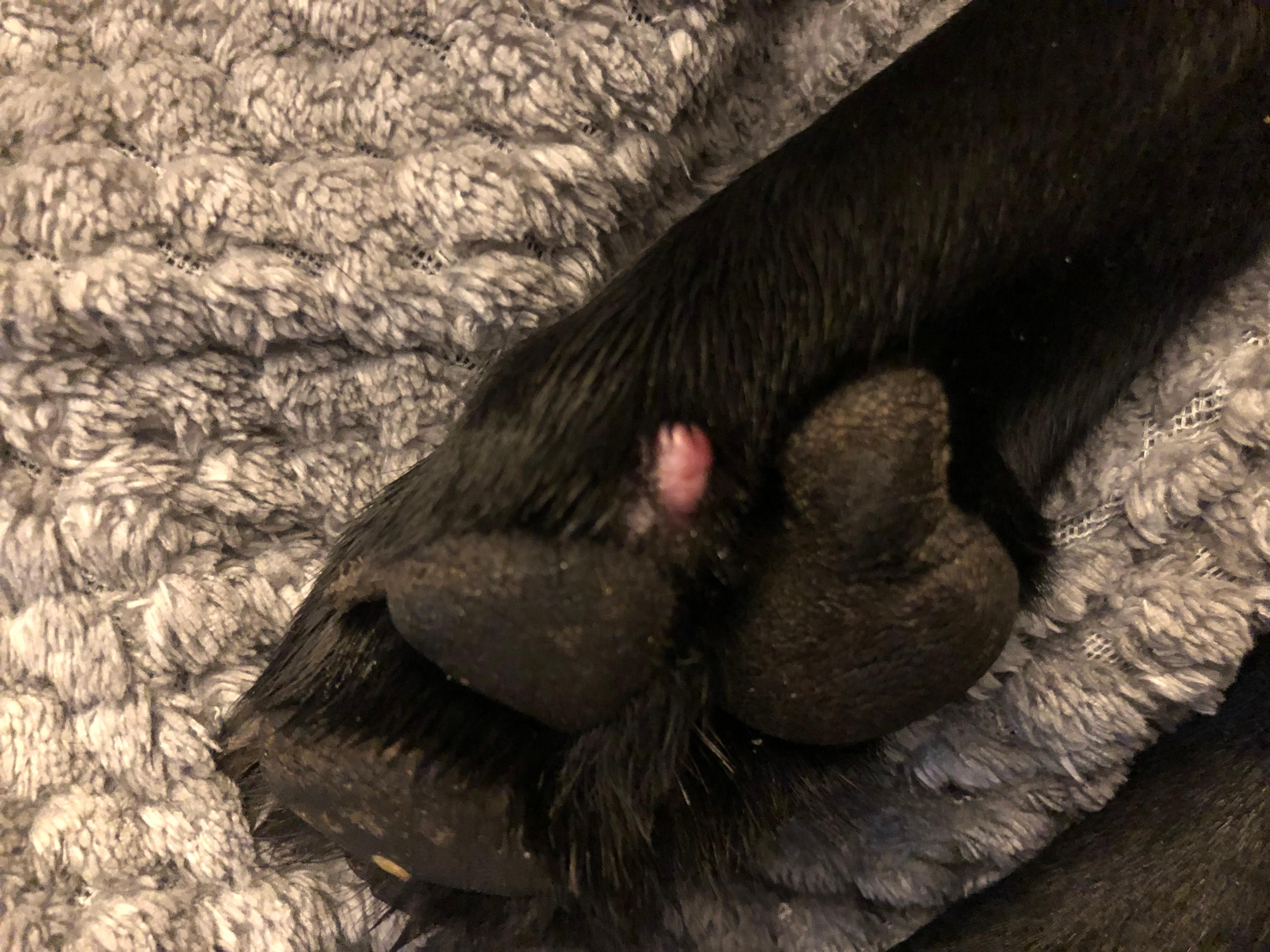 Question details sensitive content