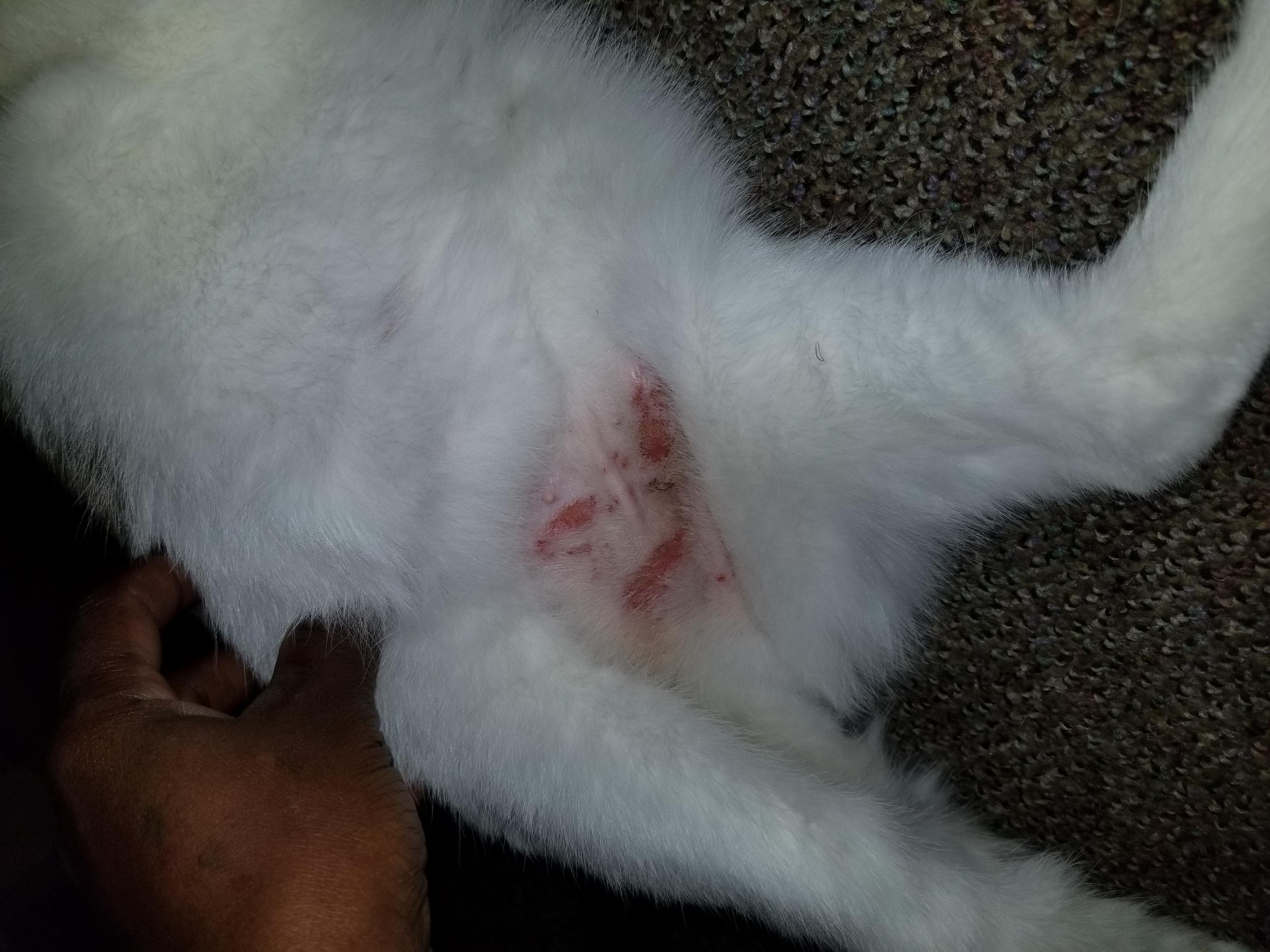 Question details sensitive content